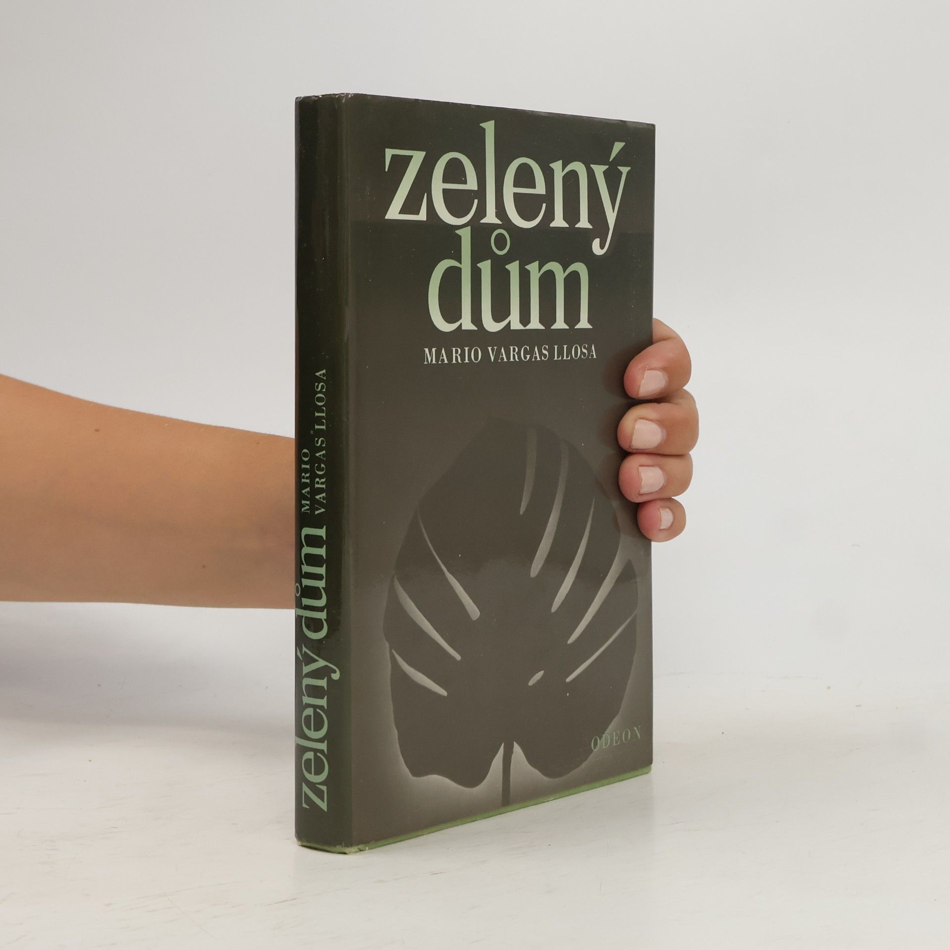 Mario Vargas Llosa Zelený dům
