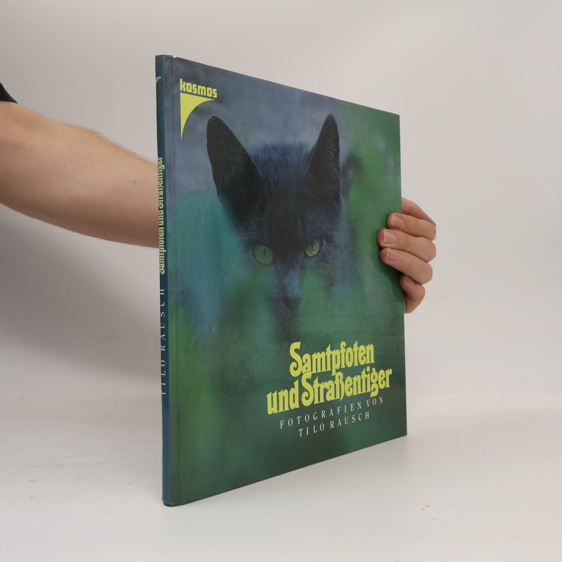 Samtpfoten und Strassentiger