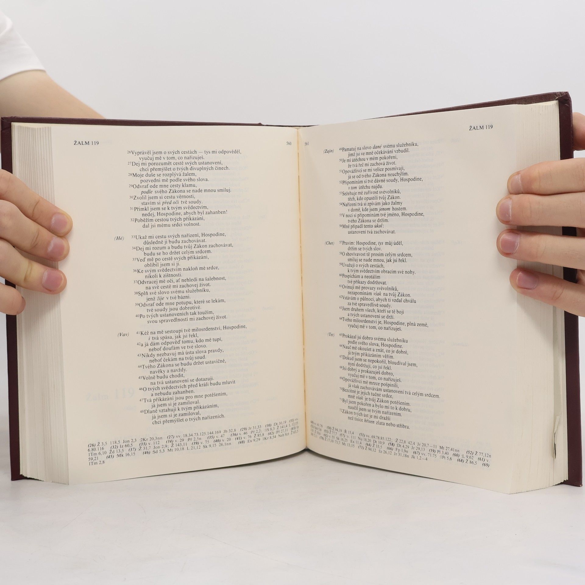 Autorenkollektiv Bible