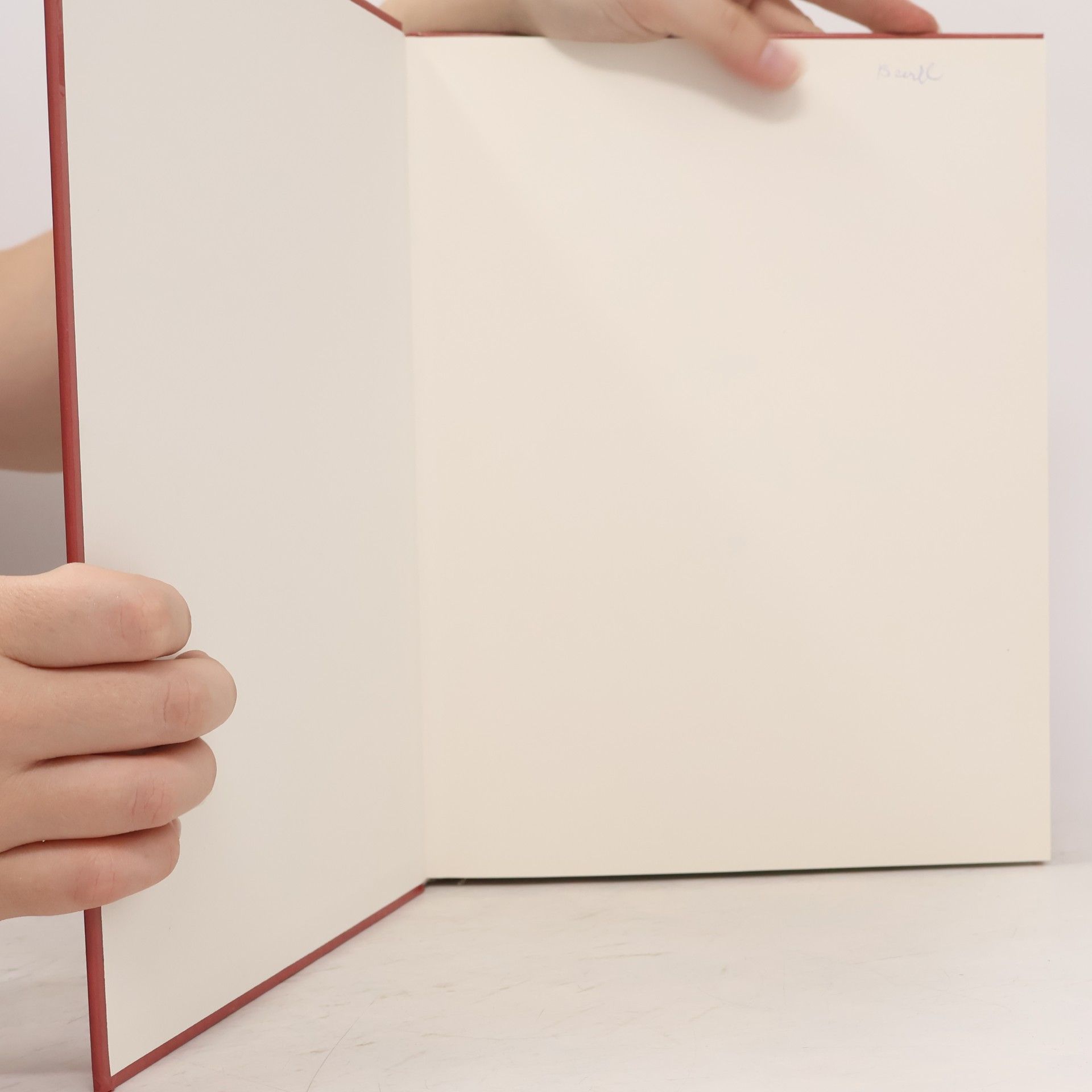 Patrice Boerens Sticken. Schnell und einfach