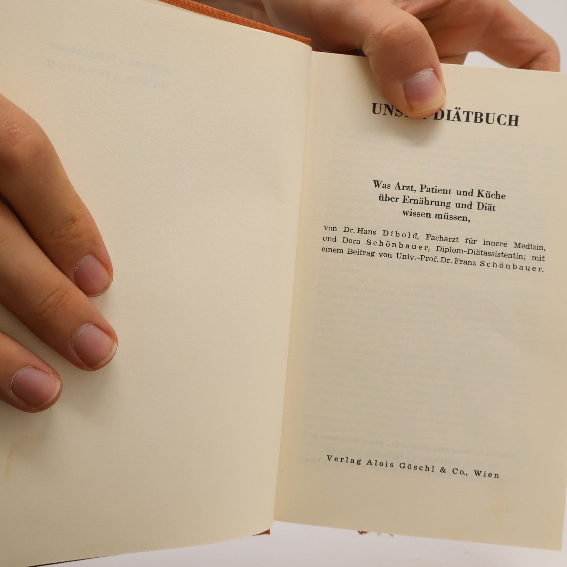 Hans Dibold Unser Diätbuch