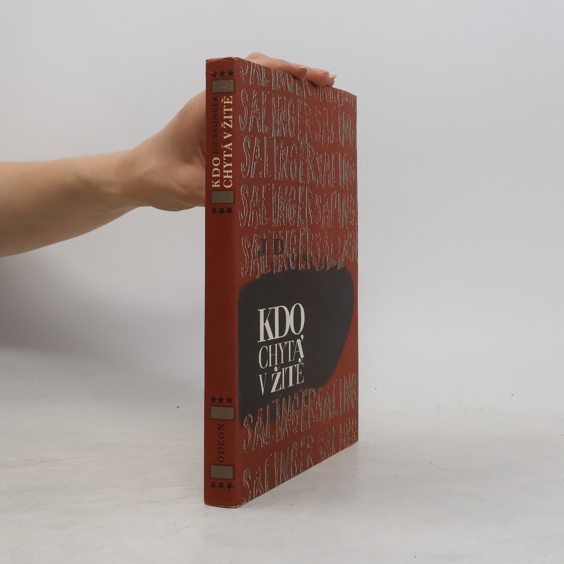 J. D. Salinger Kdo chytá v žitě