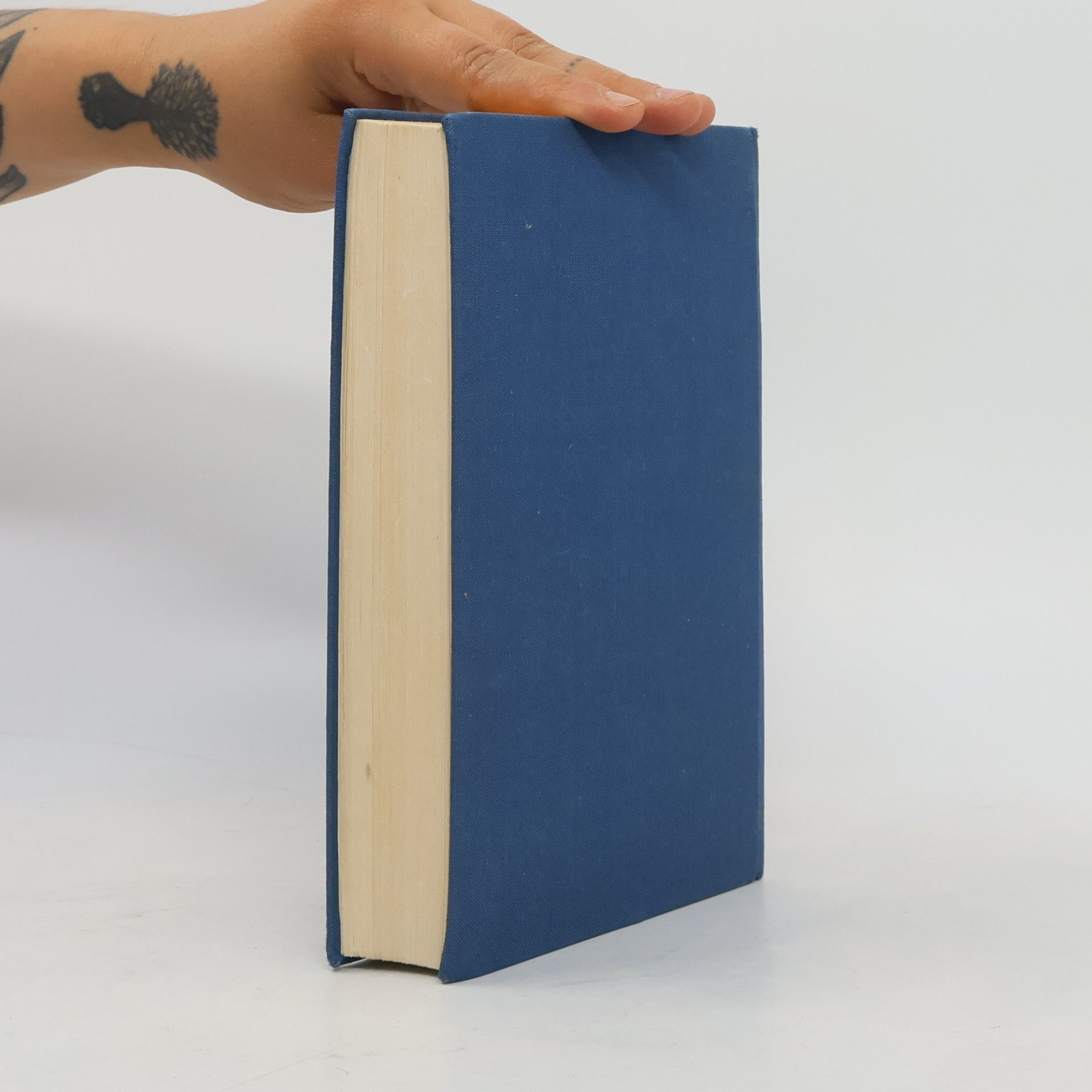 Agatha Christie Zeugin der Anklage. Das unvollendete Bildnis