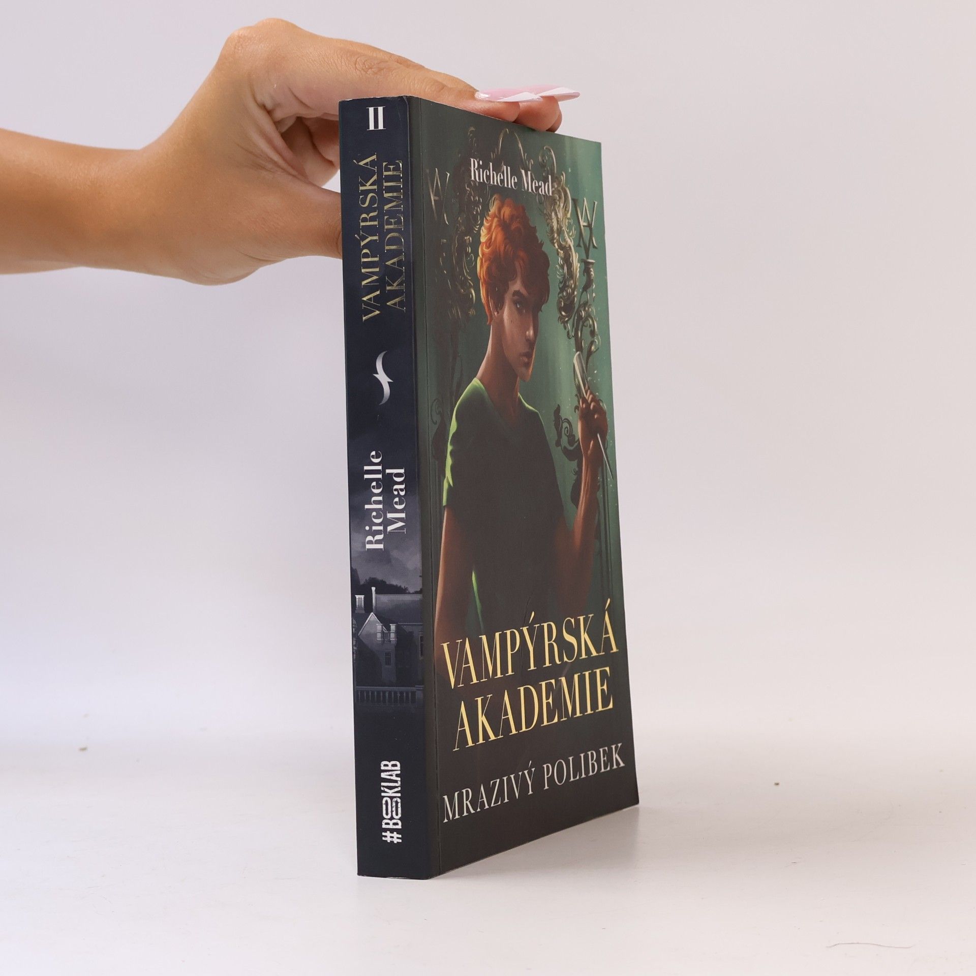 Richelle Mead Vampýrská akademie 2: Mrazivý polibek