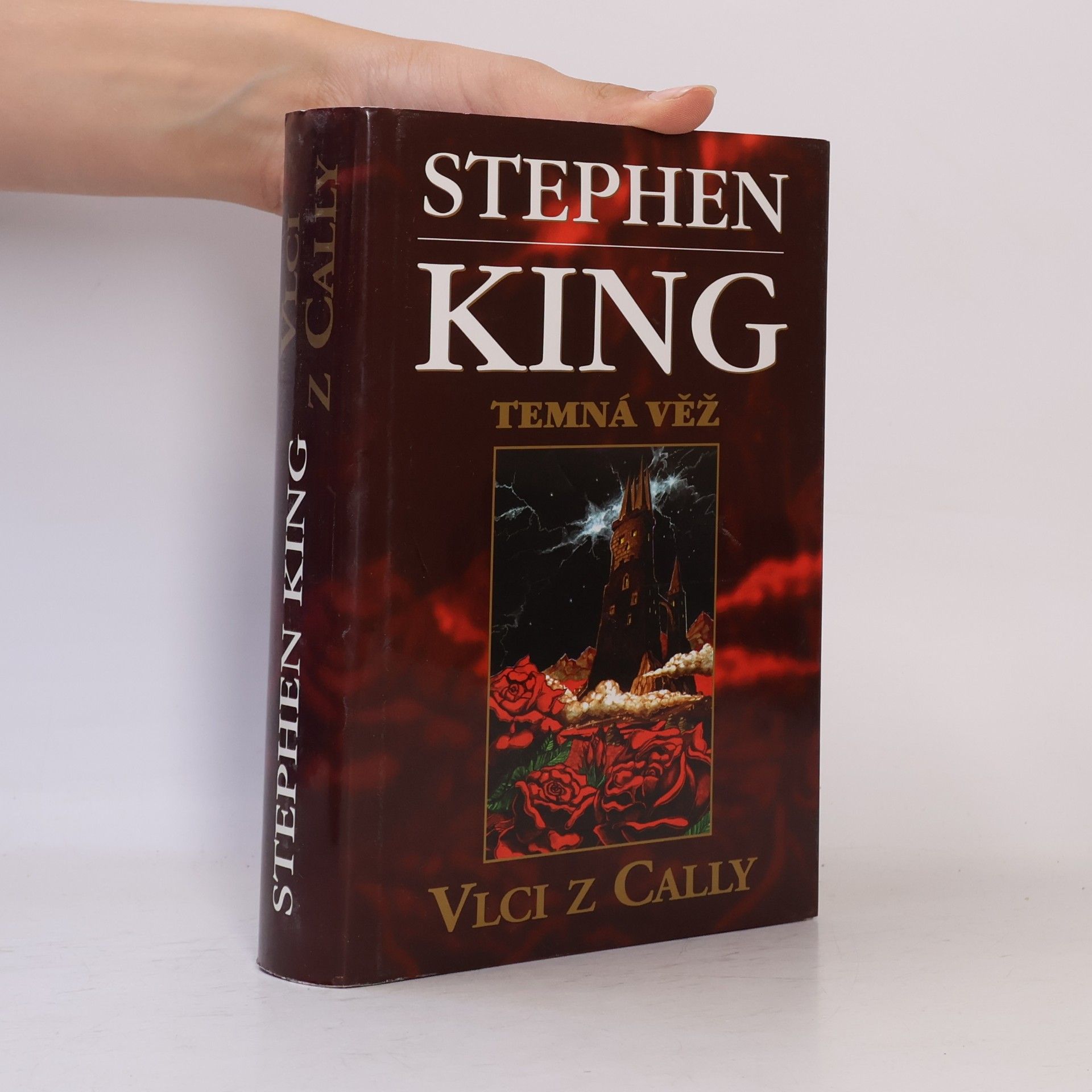 Stephen King Temná věž: Vlci z Cally