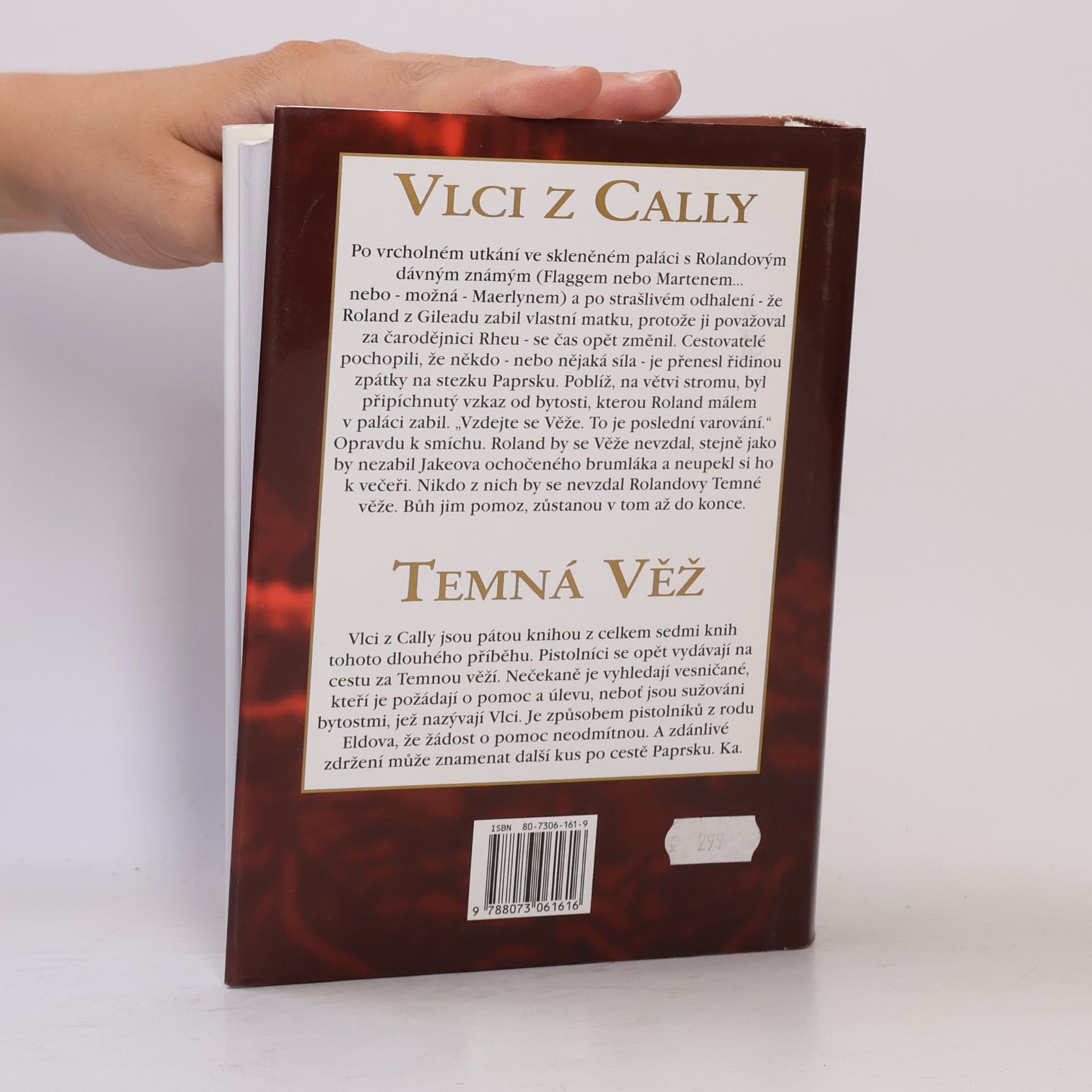Stephen King Temná věž: Vlci z Cally