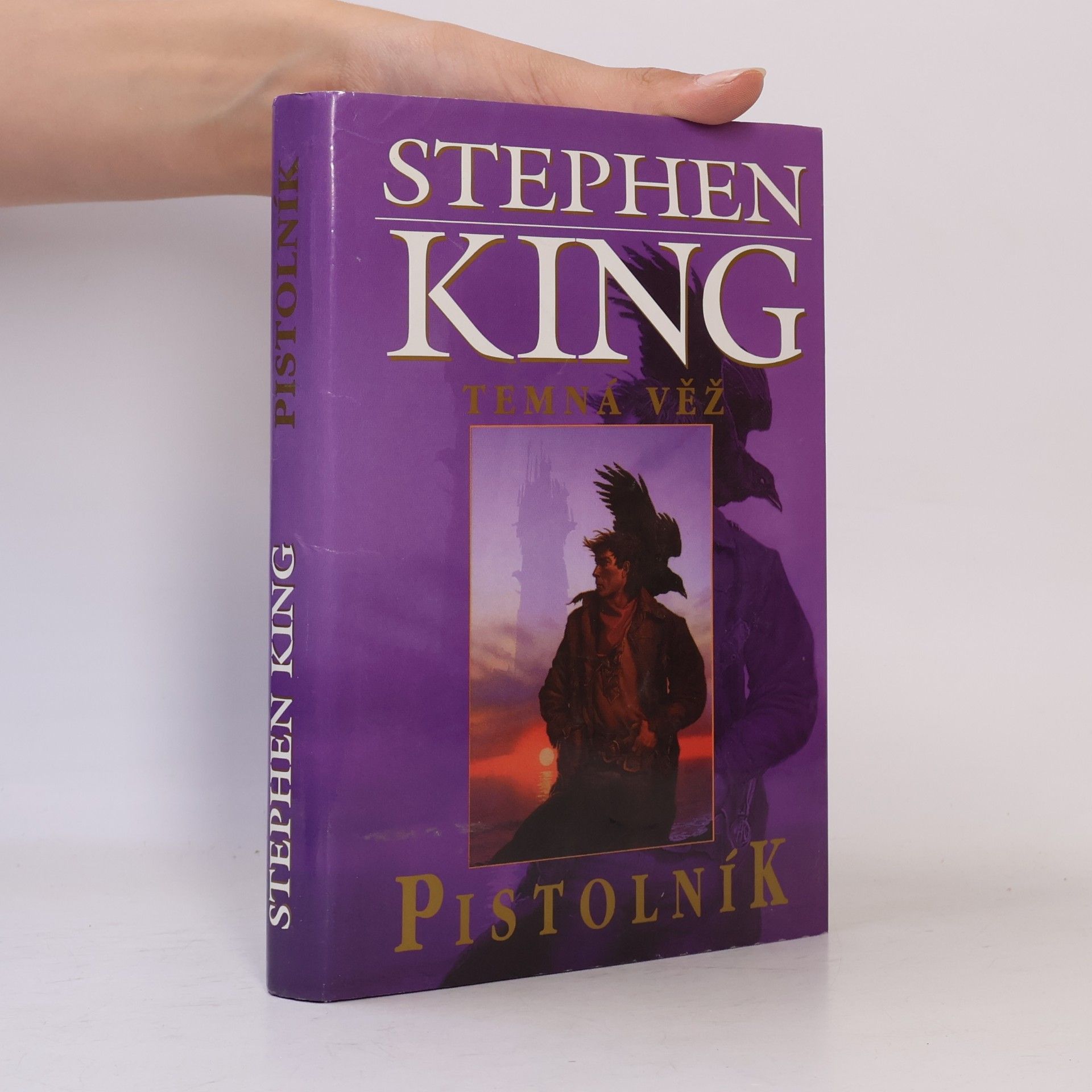 Stephen King Temná věž. Pistolník