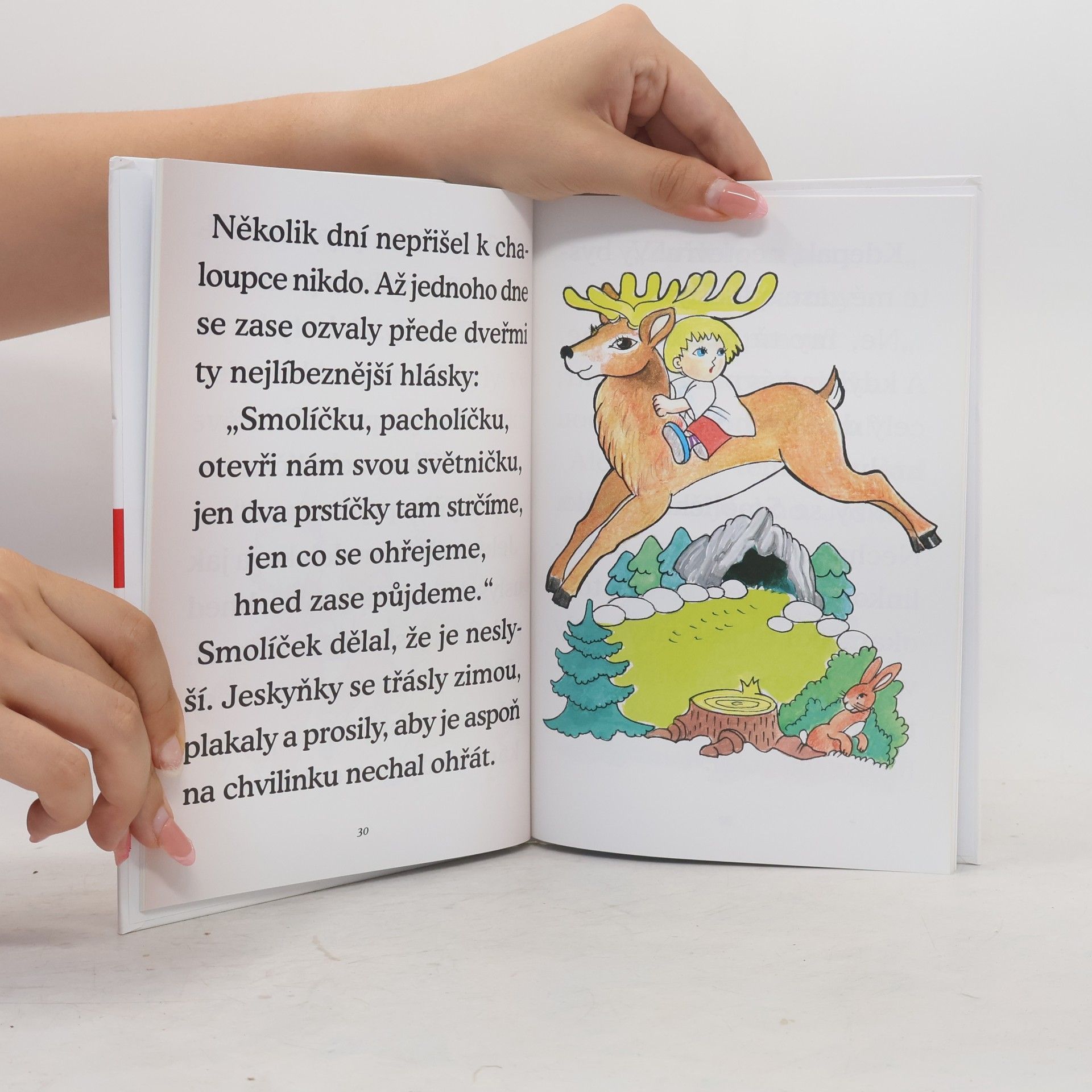 Gabriela Kopcová Učíme se číst. Čtyři druhy písma