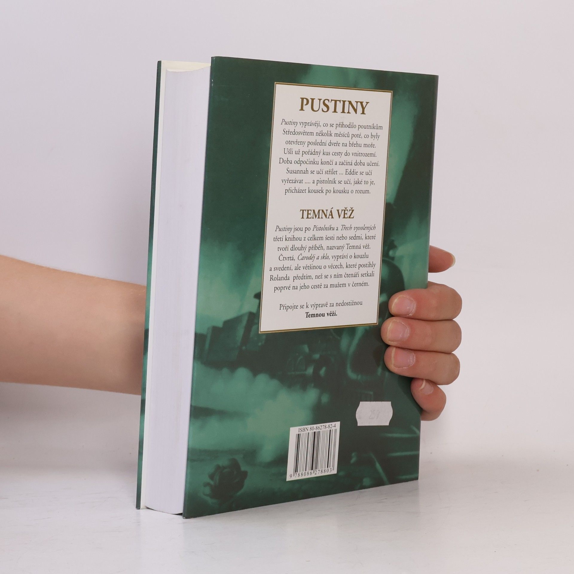 Stephen King Temná věž. Pustiny