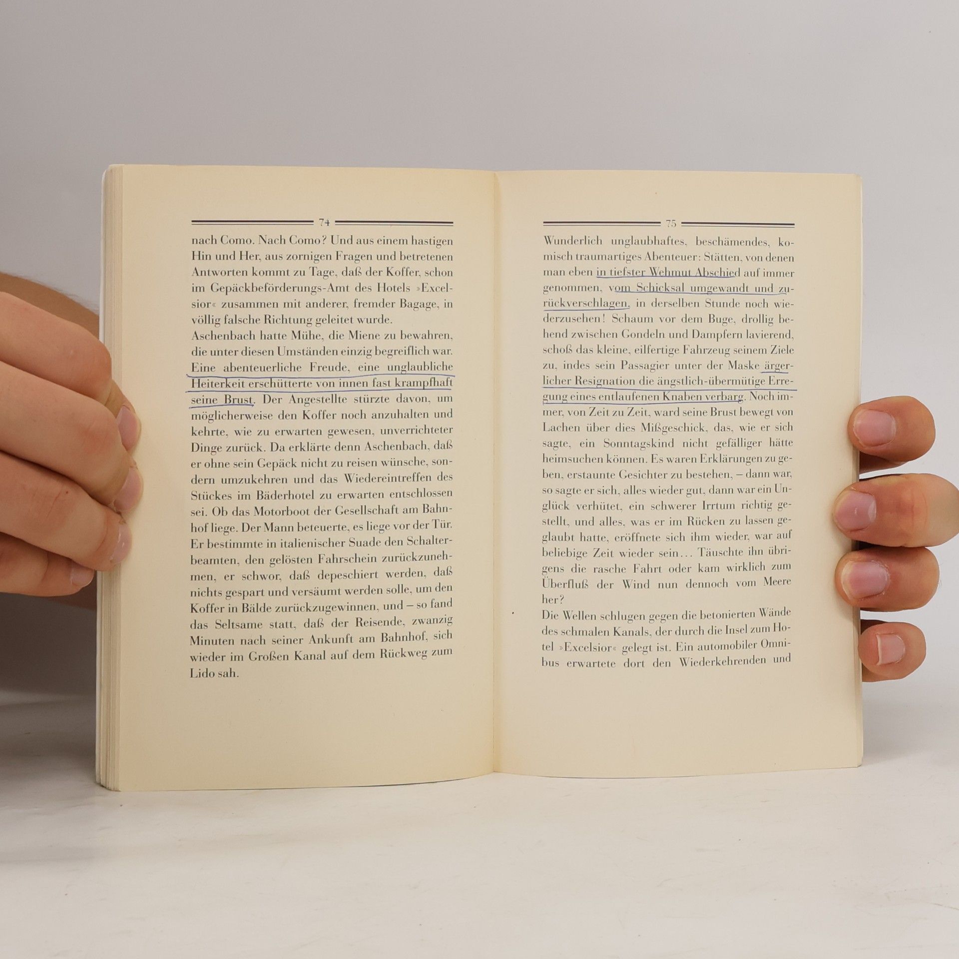 Thomas Mann Der Tod in Venedig : Novelle