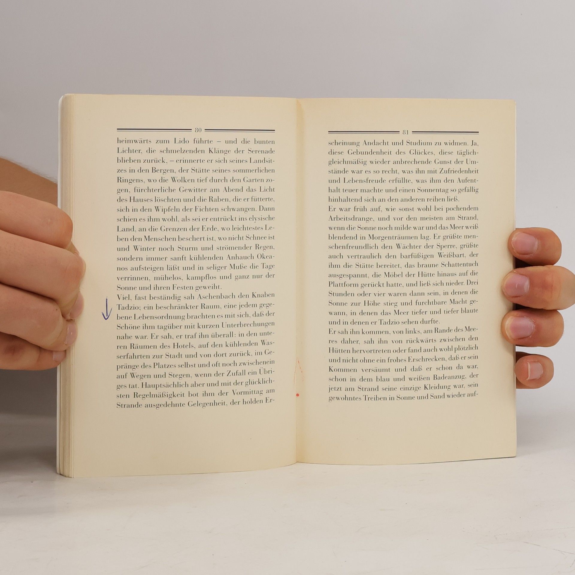 Thomas Mann Der Tod in Venedig : Novelle