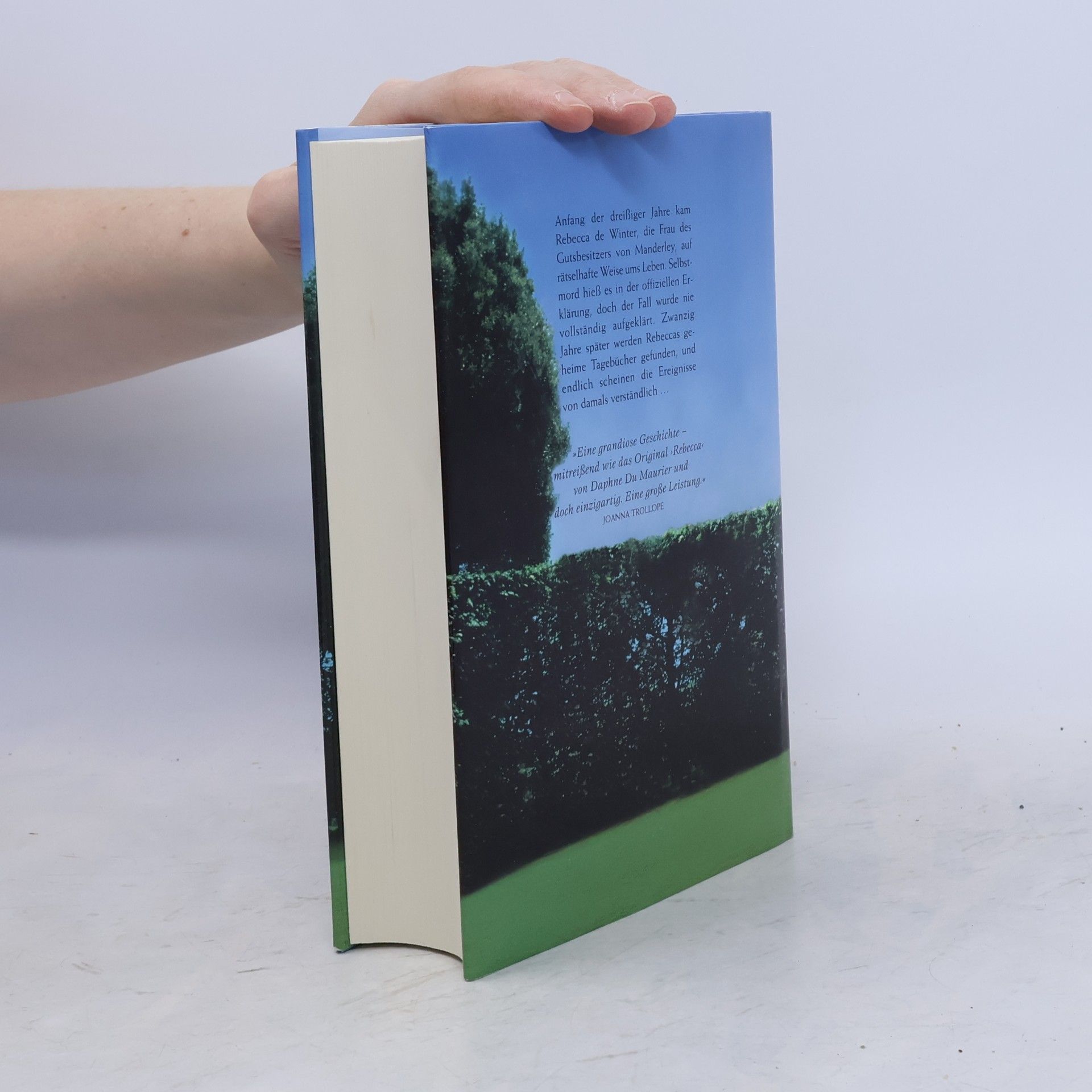 Sally Beauman Rebeccas Geheimnis