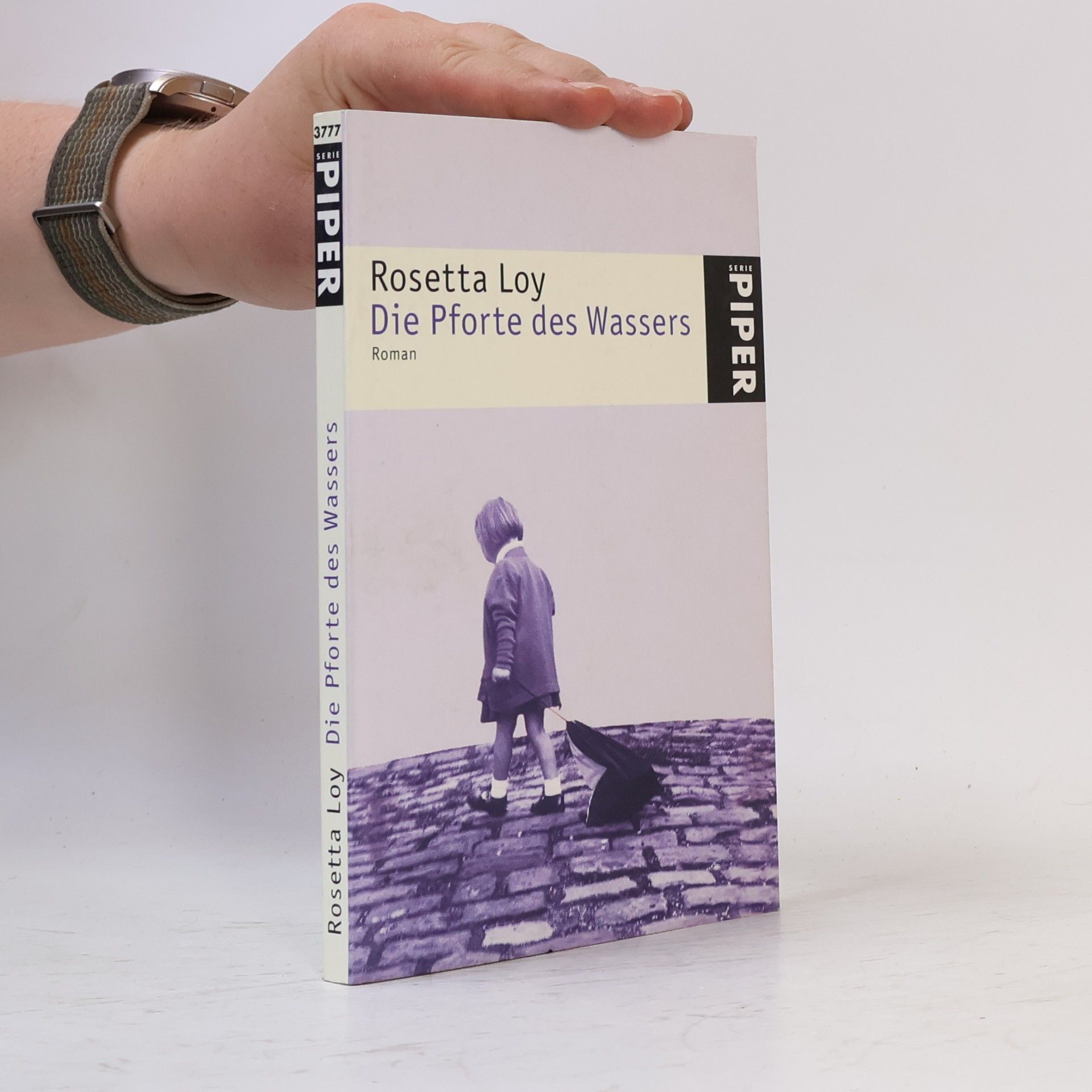Rosetta Loy Die Pforte des Wassers