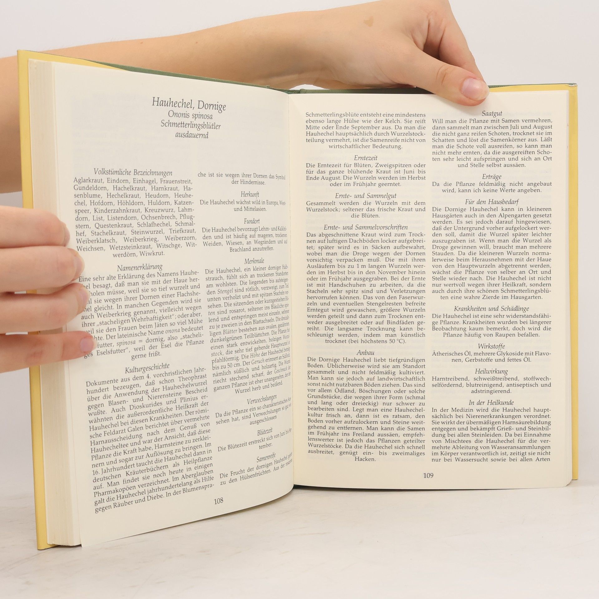 Hermann-Josef Weidinger Heilkräuter anbauen, sammeln, nützen, schützen 1