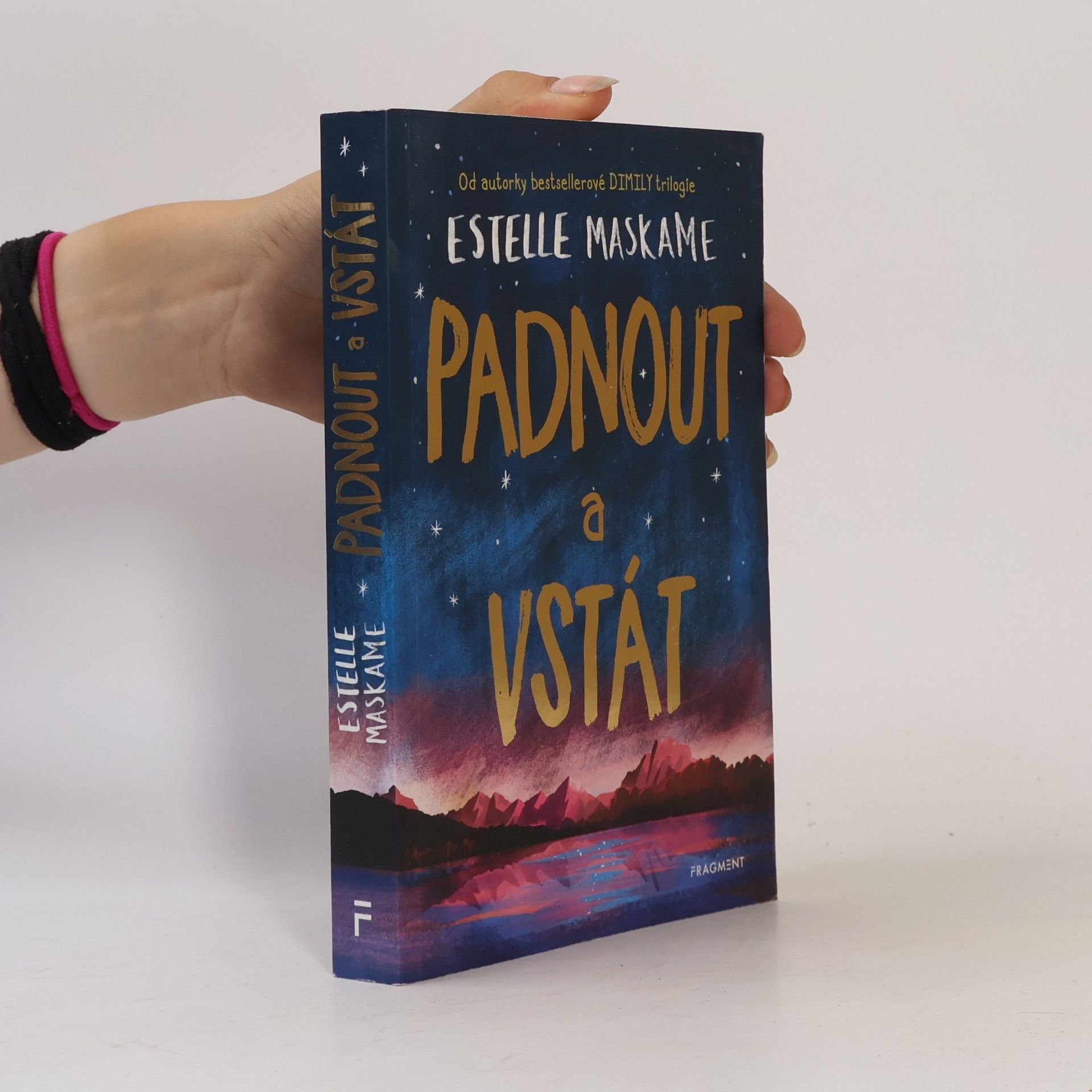 Estelle Maskame Padnout a vstát