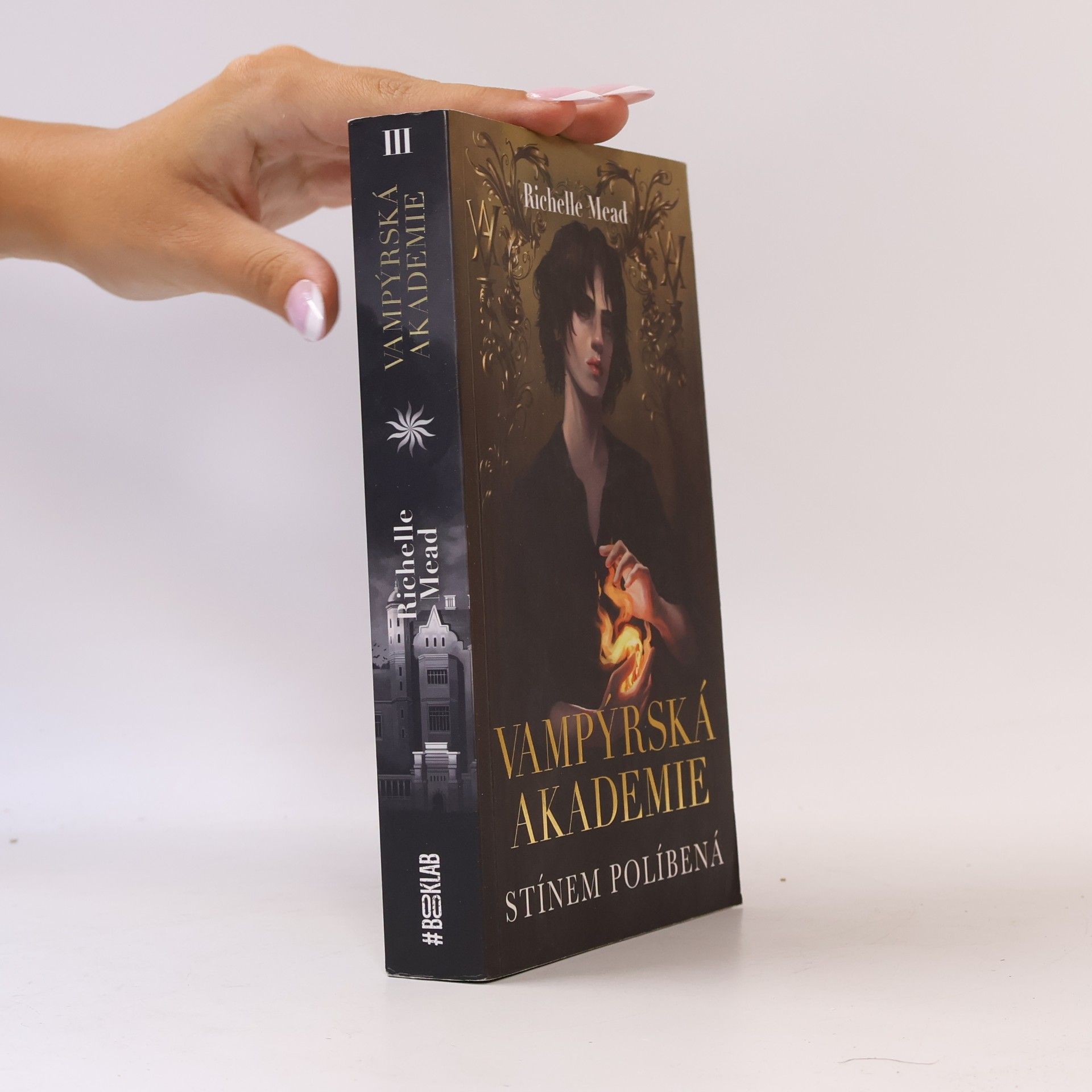 Richelle Mead Vampýrská akademie. Stínem políbená