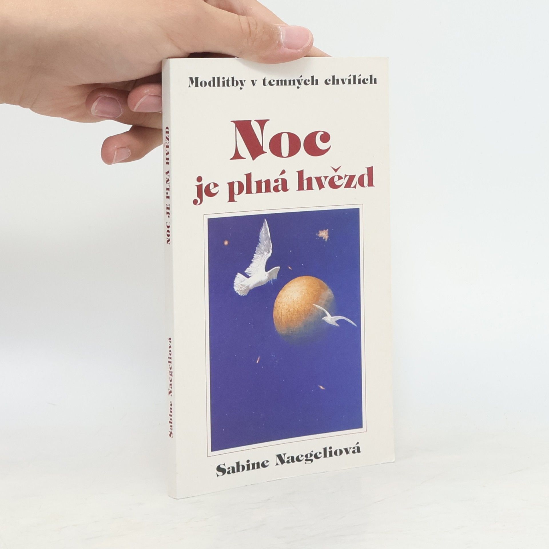 Sabine Naegeli Noc je plná hvězd: modlitby v temných chvílích