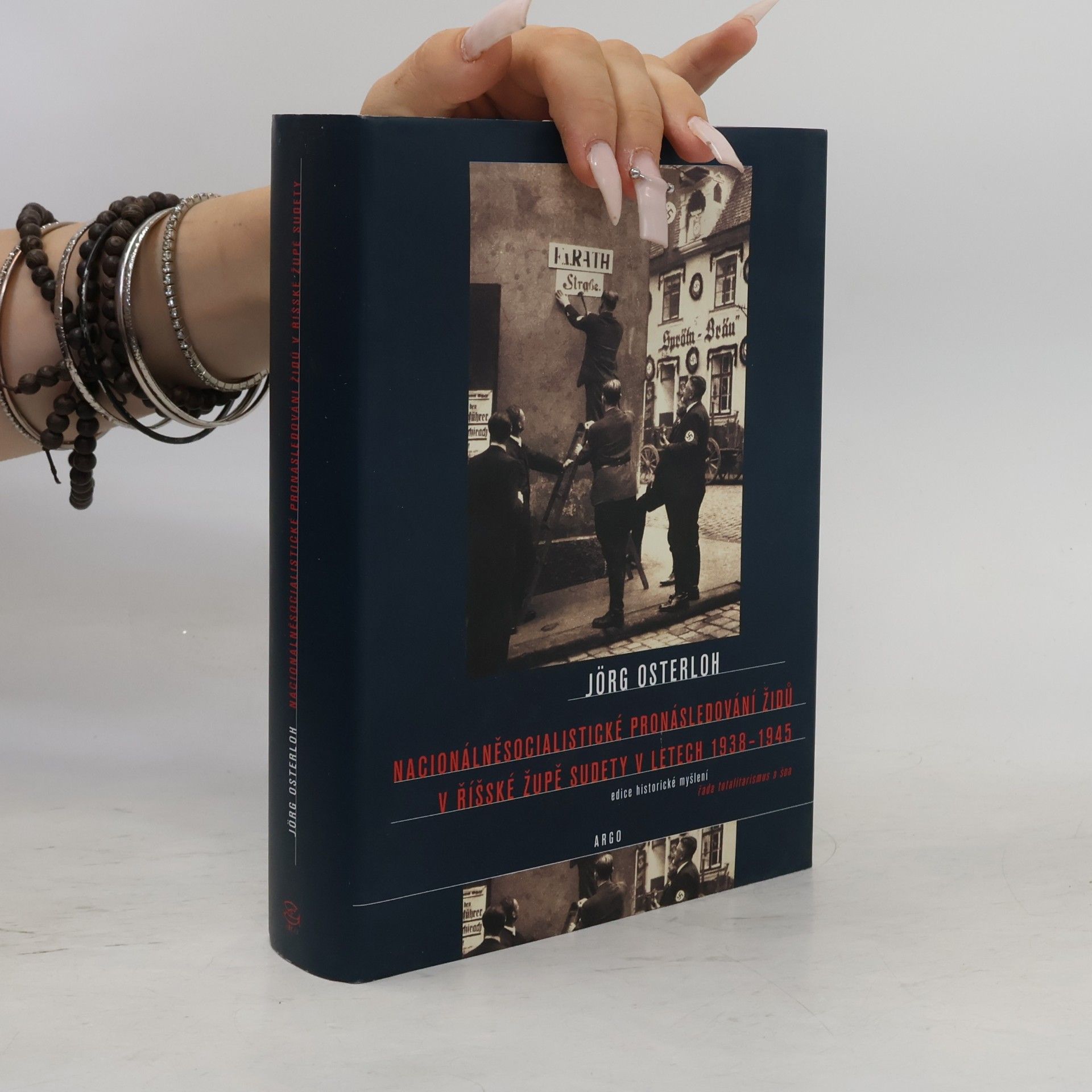 Jorg Osterloh Nacionálněsocialistické pronásledování Židů v říšské župě Sudety v letech 1938-1945