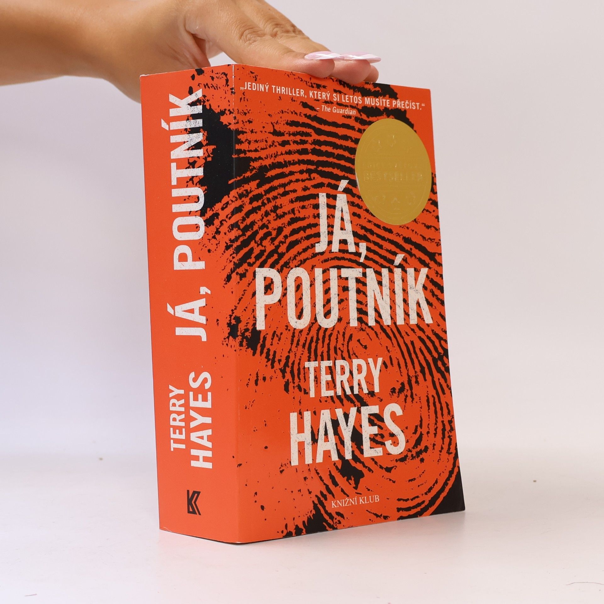 Terry Hayes Já, Poutník