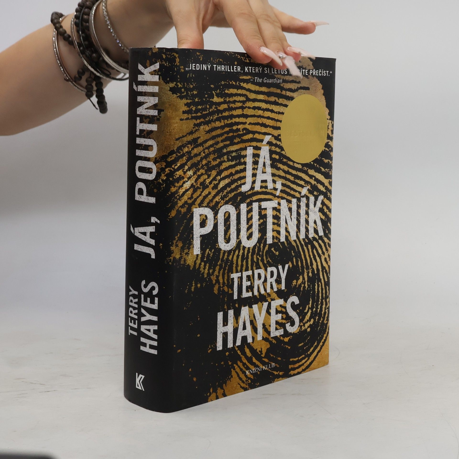 Terry Hayes Já, Poutník