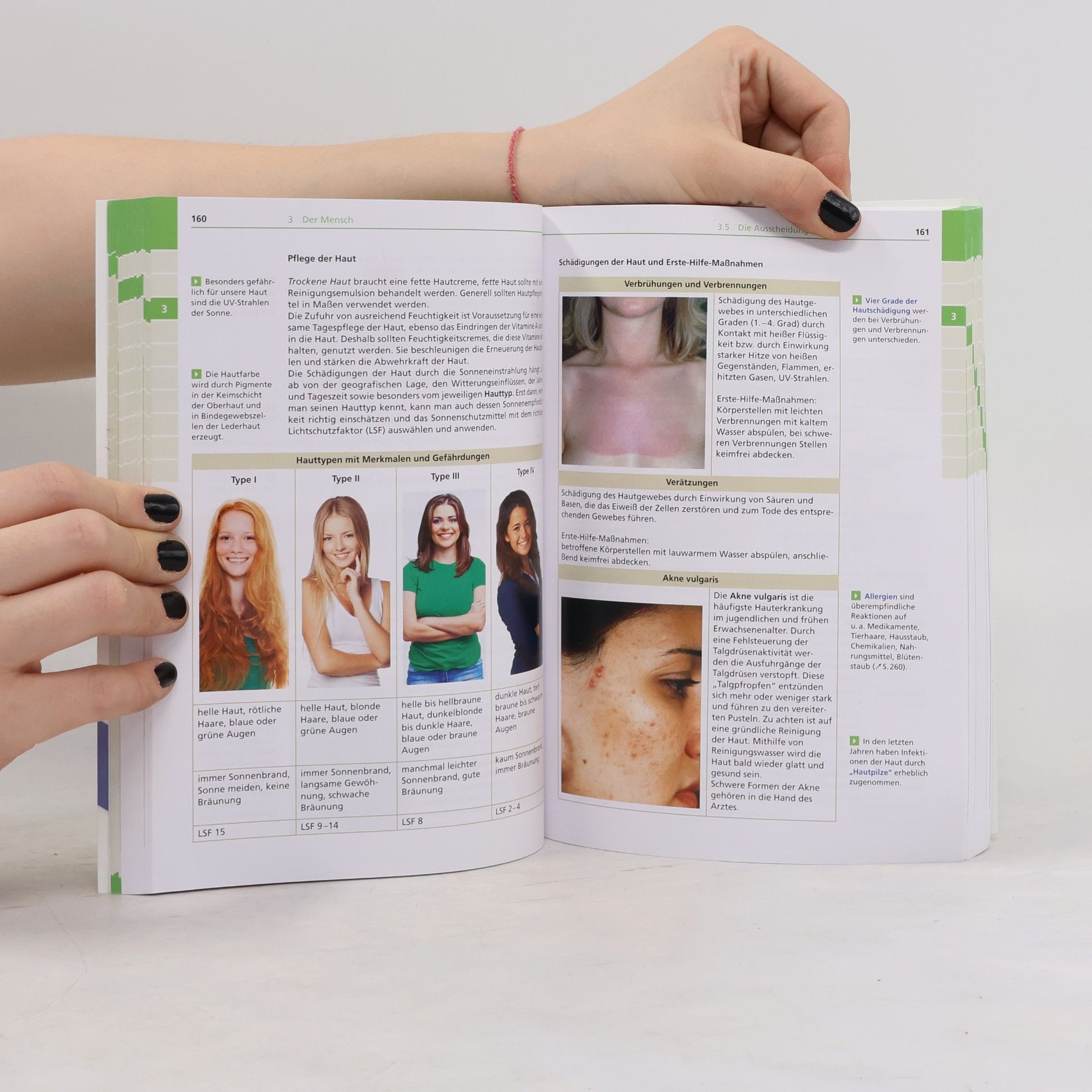 Collectif d'auteurs Biologie: Duden Schulwissen 5. bis 10. Klasse