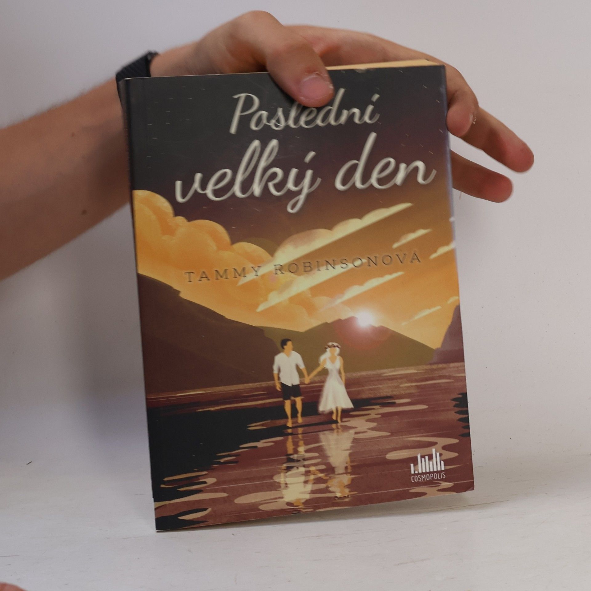 Tammy Robinson Poslední velký den