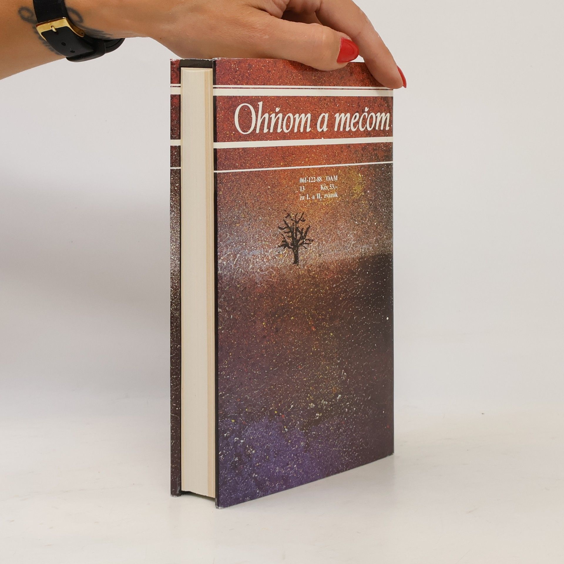 Henryk Sienkiewicz Ohňom a mečom I
