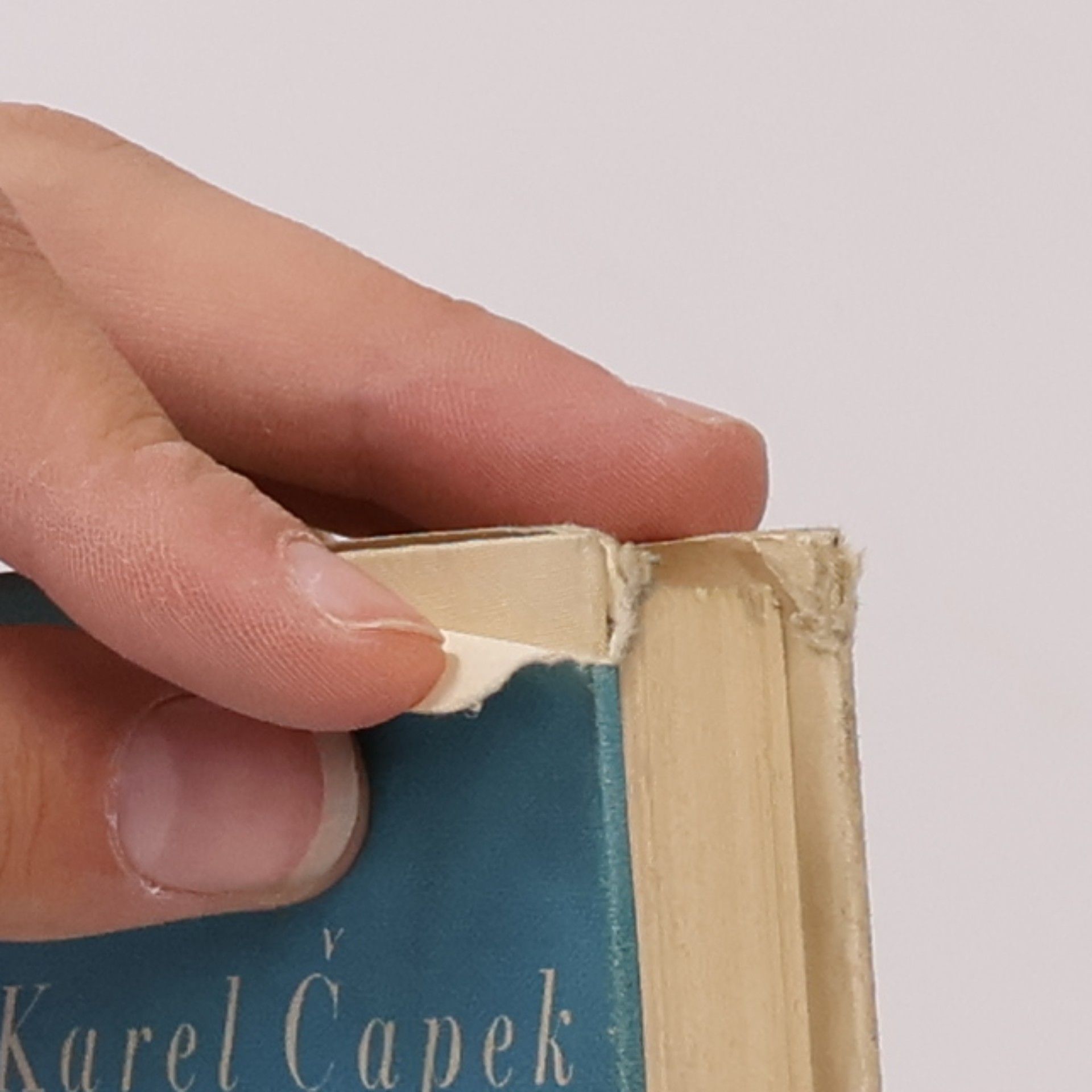 Karel Čapek Jak se co dělá