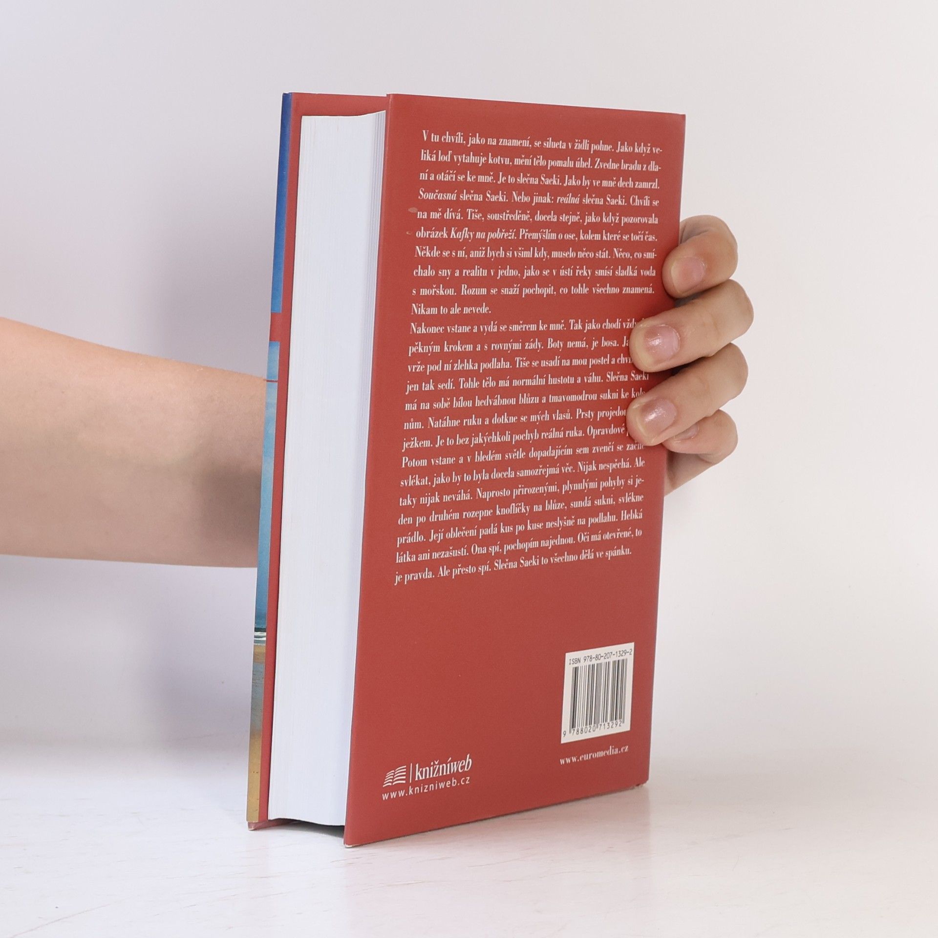 Haruki Murakami Kafka na pobřeží