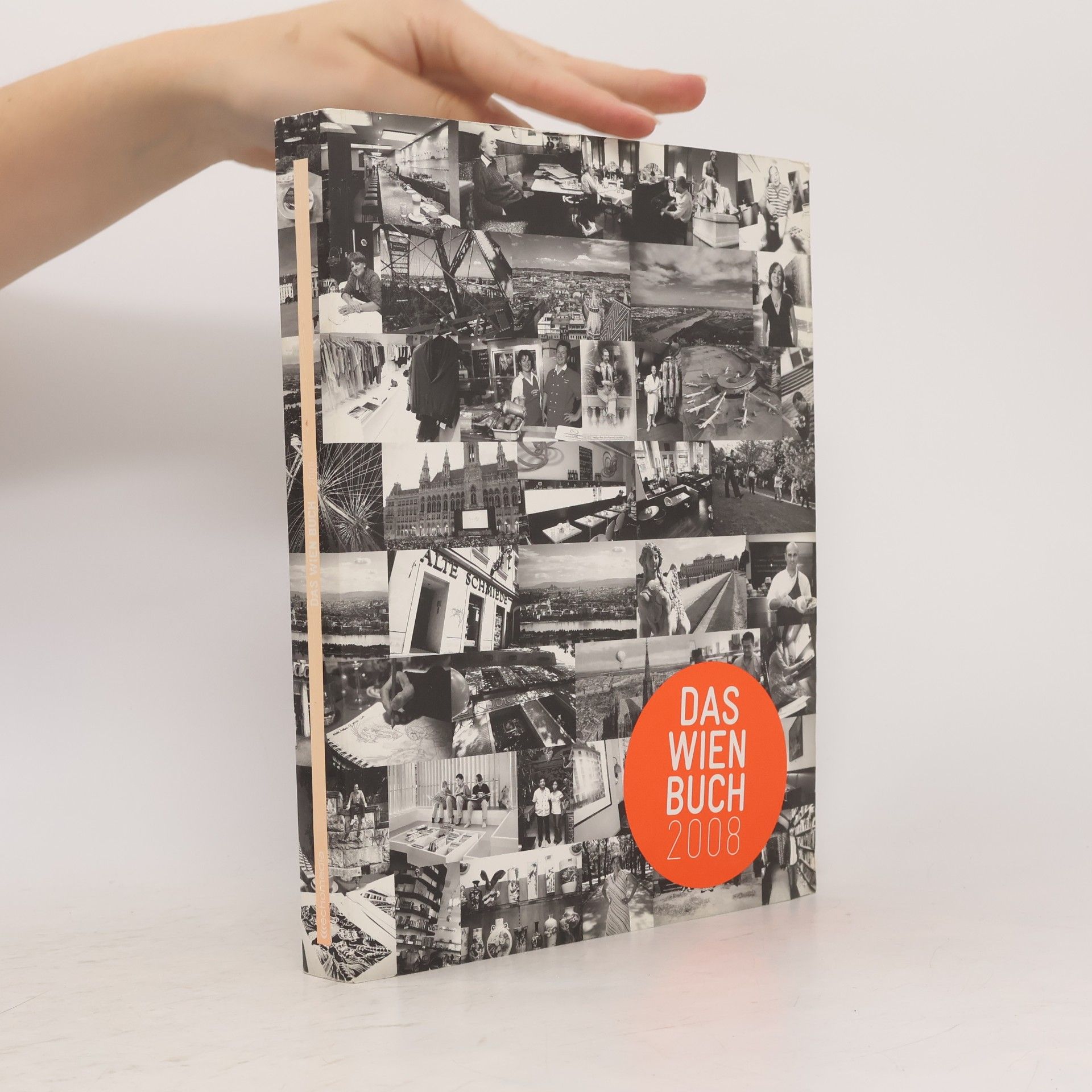 Andrea Mandl Das Wien Buch 2008