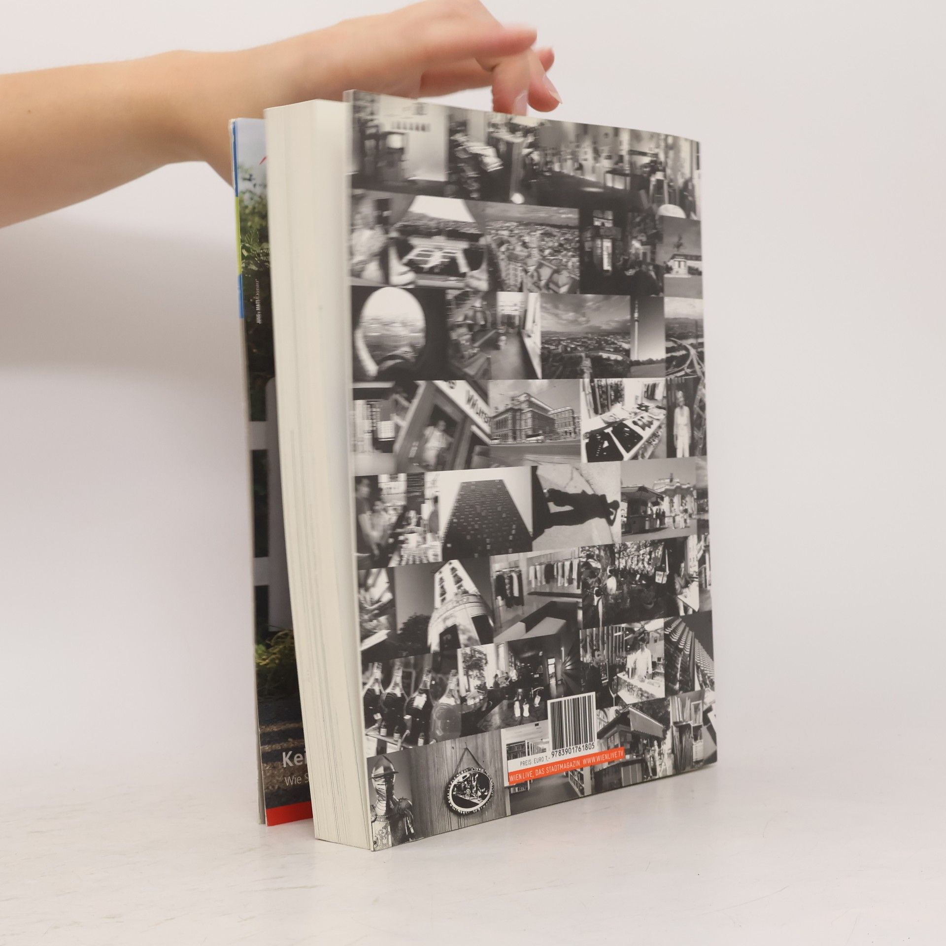 Andrea Mandl Das Wien Buch 2008