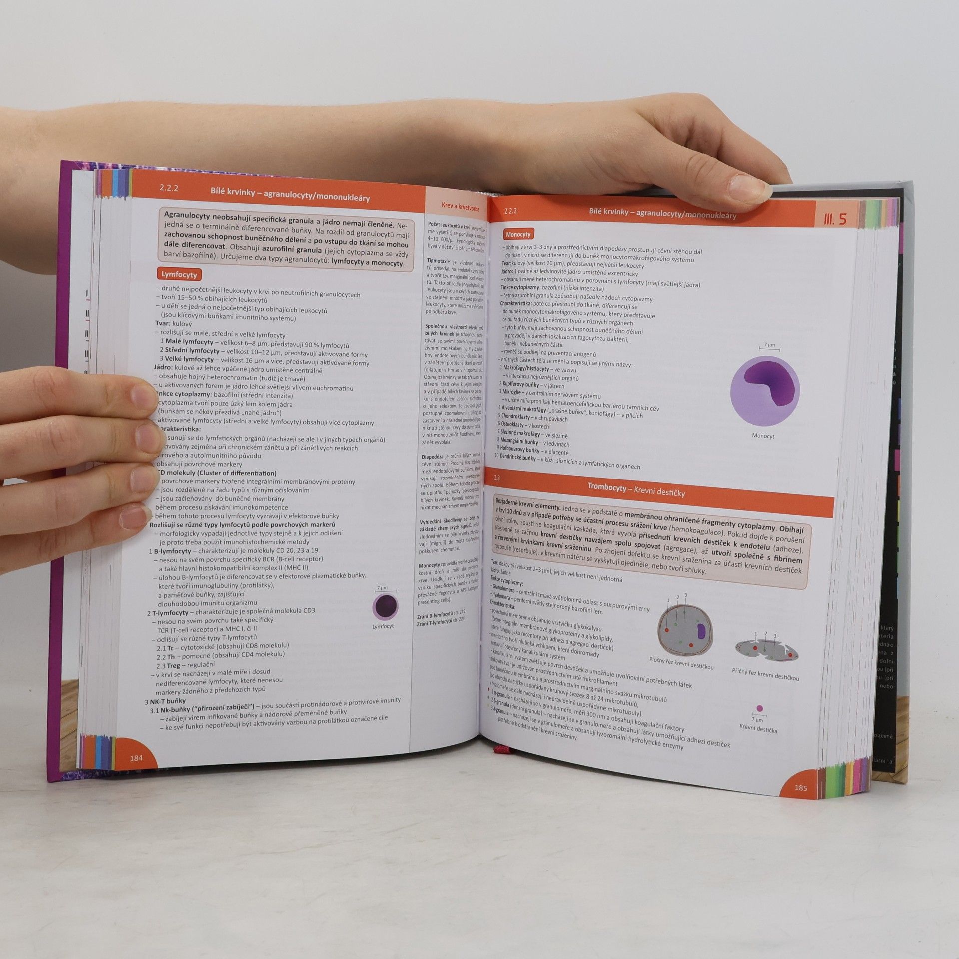Jan Balko Memorix histologie
