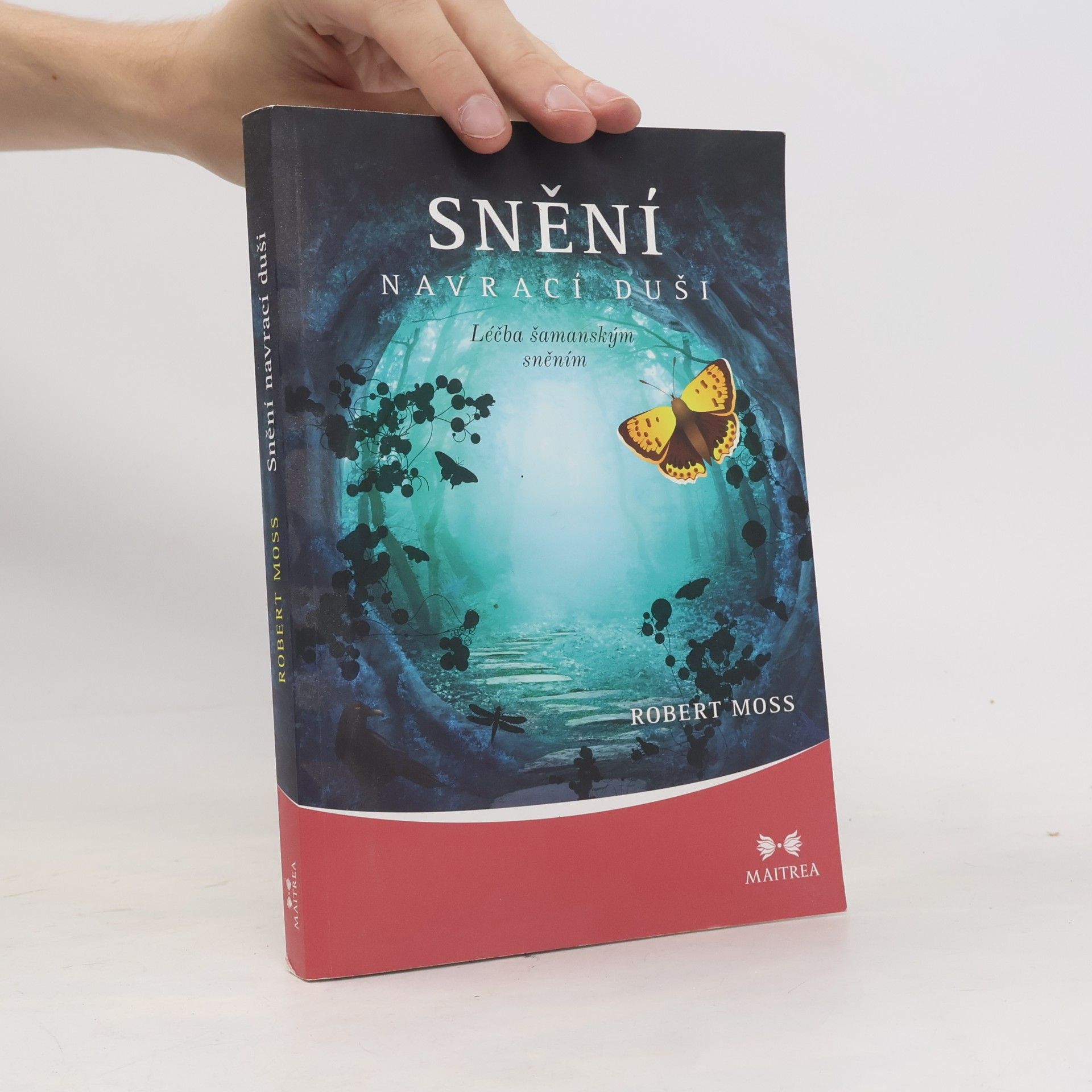 Robert Moss Snění navrací duši. Léčba šamanským sněním