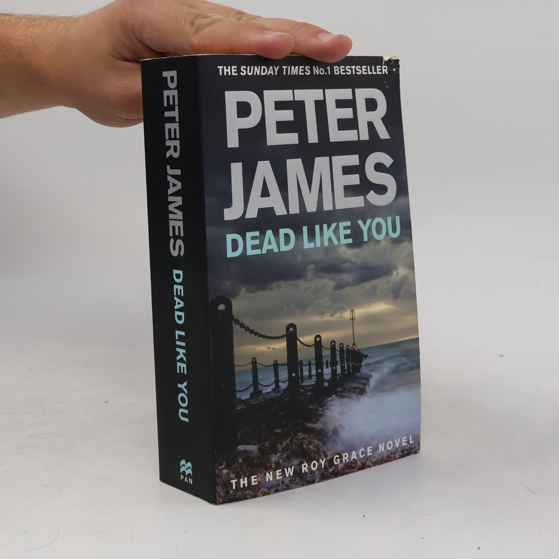 Peter James Dead Like You