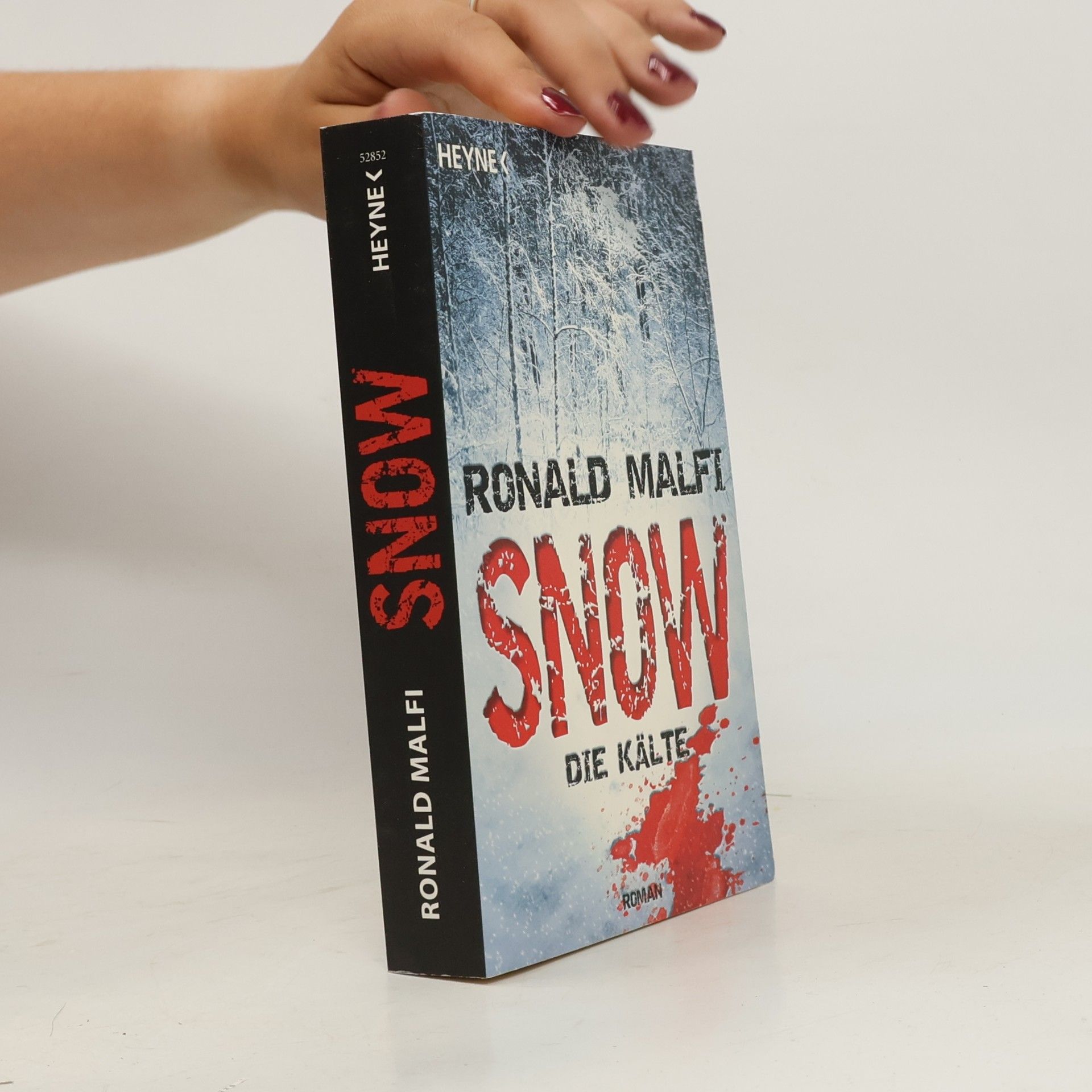 Ronald Malfi Snow - Die Kälte. Roman