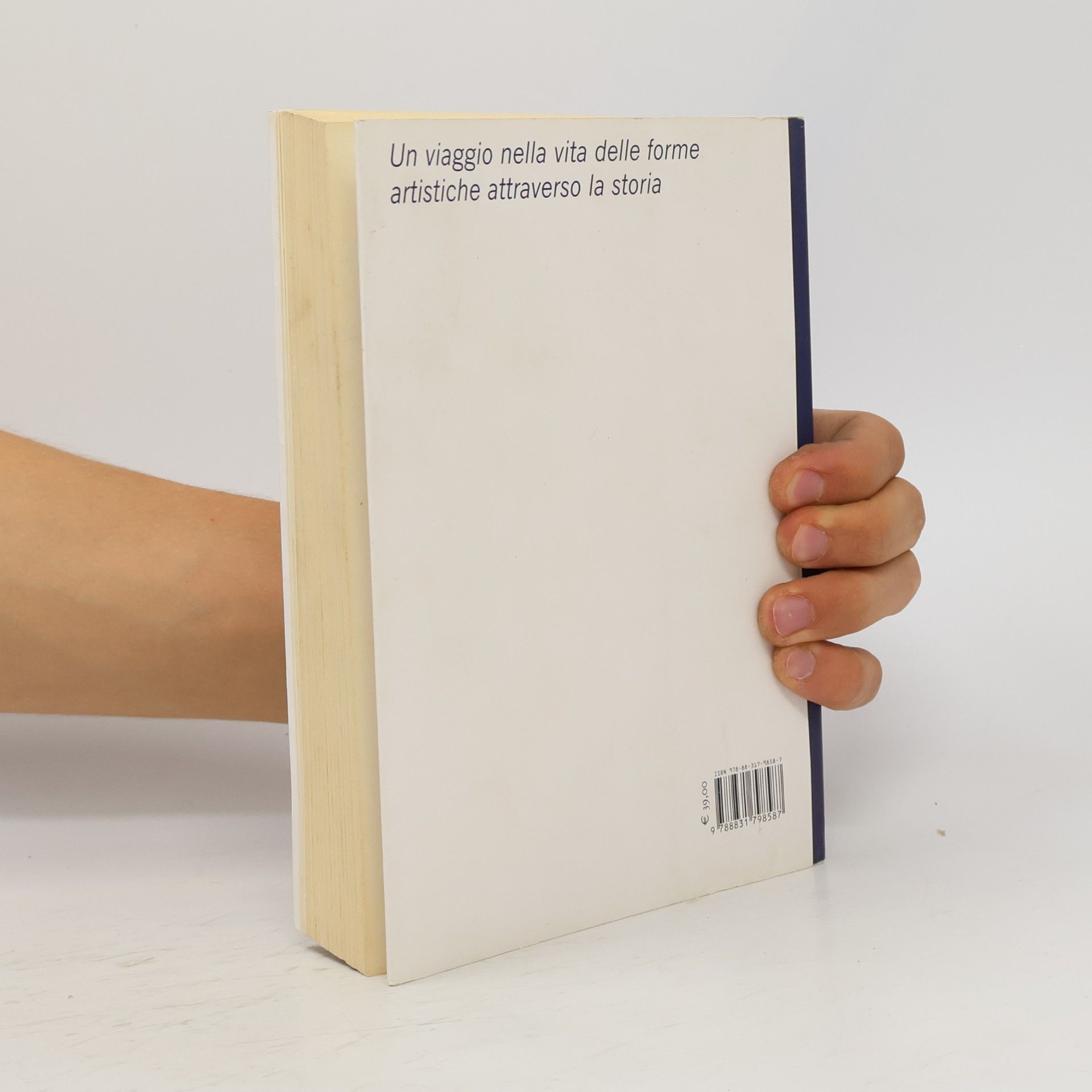 Renato De Fusco Biblioteca Marsilio: Una breve storia dell'arte