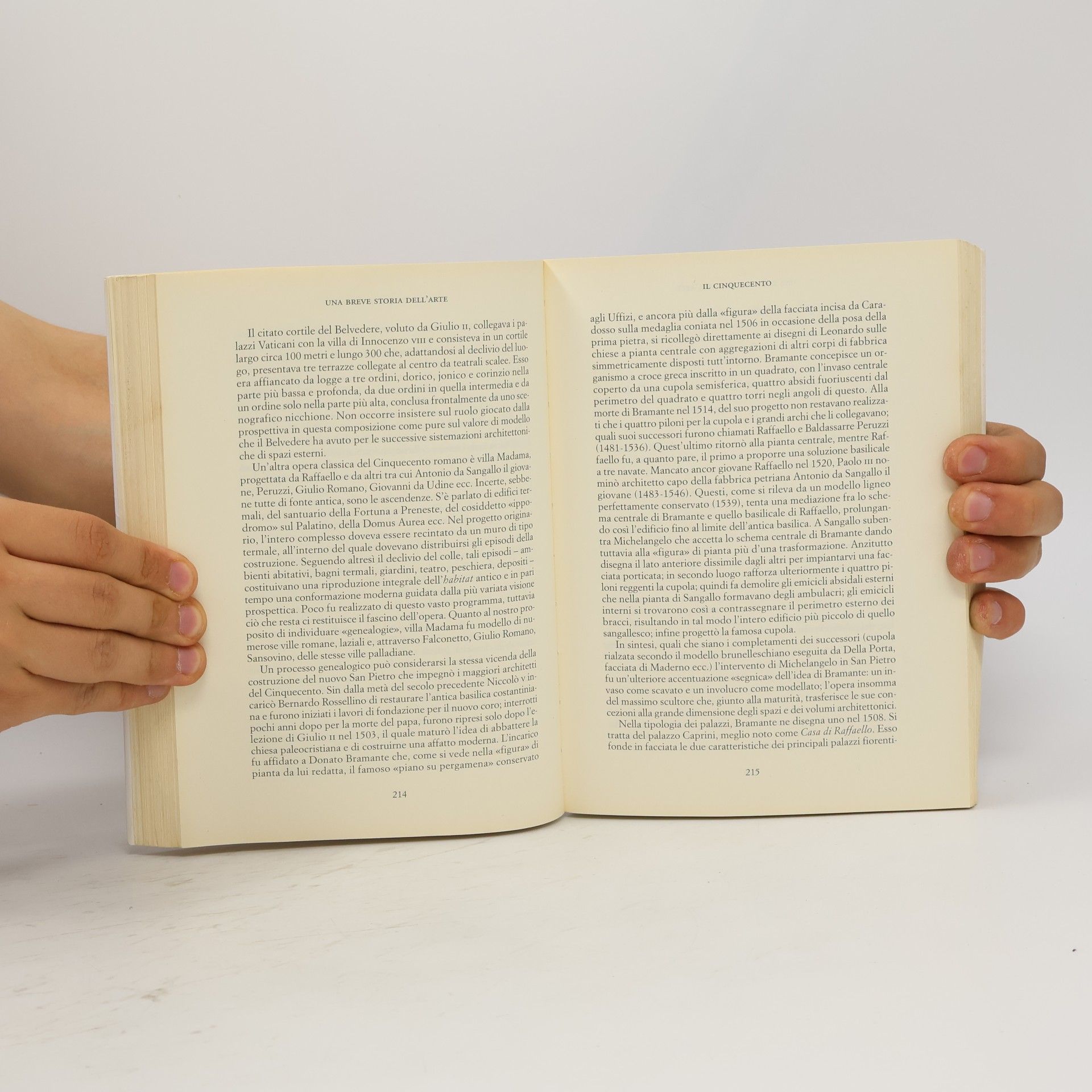 Renato De Fusco Biblioteca Marsilio: Una breve storia dell'arte