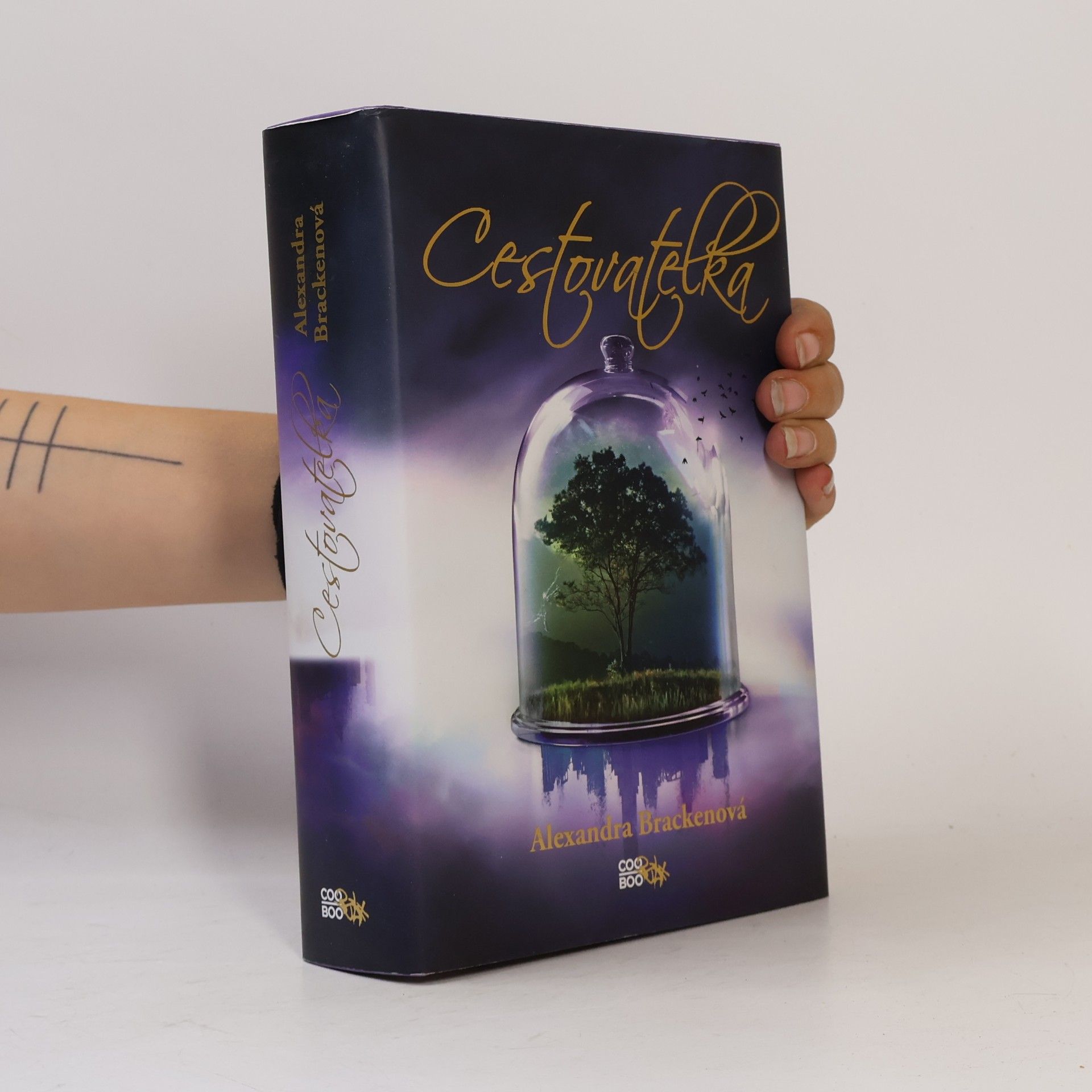 Alexandra Bracken Cestovatelka