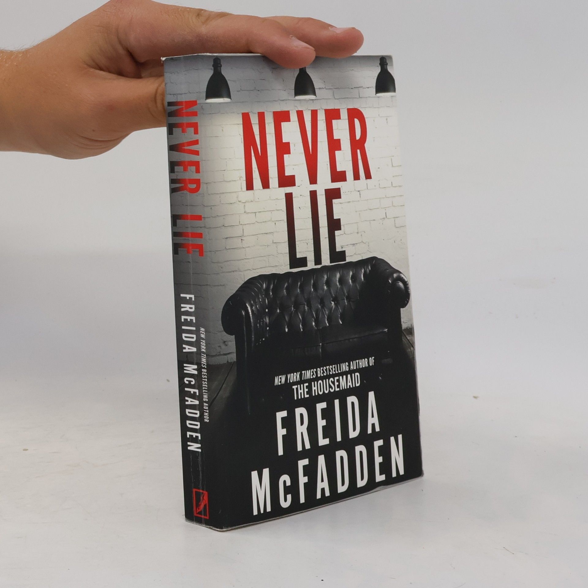 Freida McFaddenová Never Lie