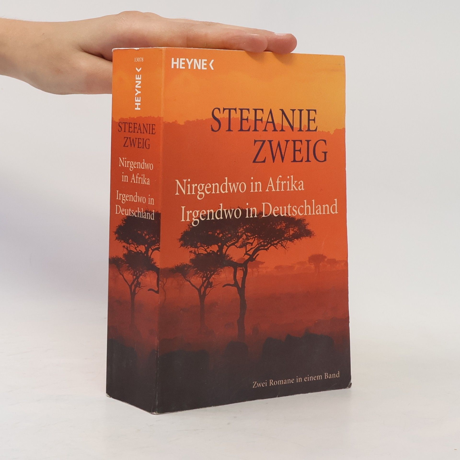 Stefanie Zweig Nirgendwo in Afrika