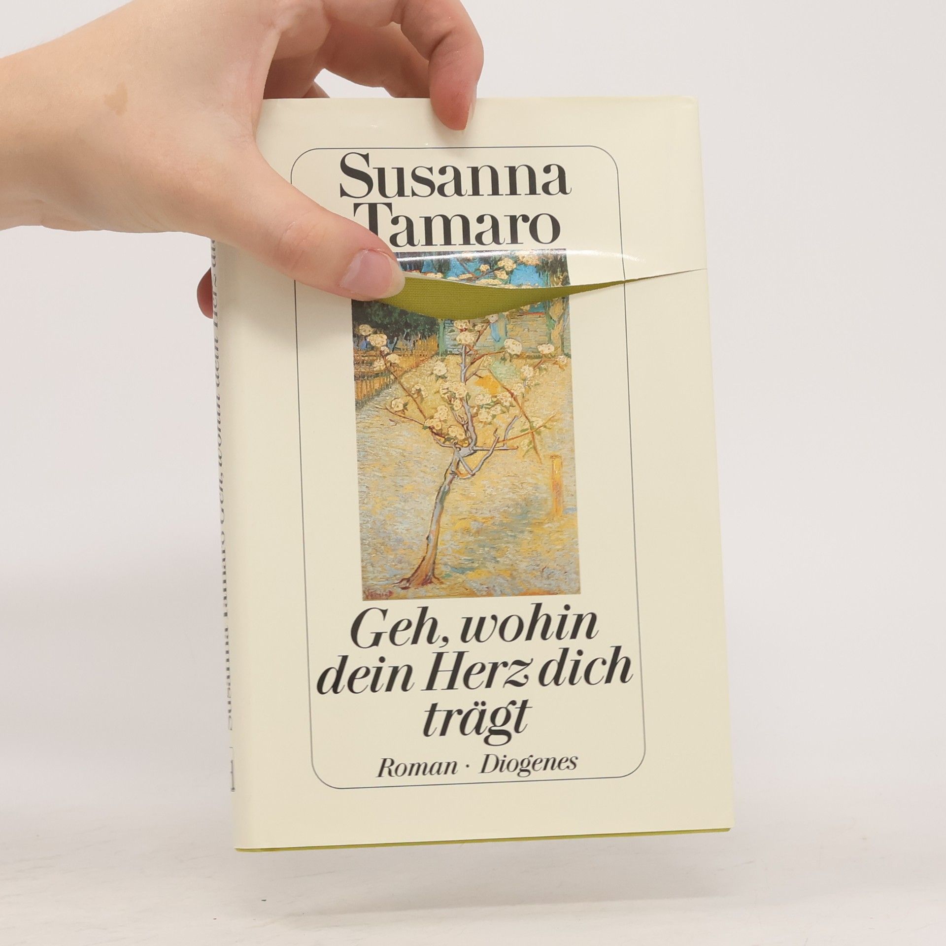 Susanna Tamaro Geh, wohin dein Herz dich trägt