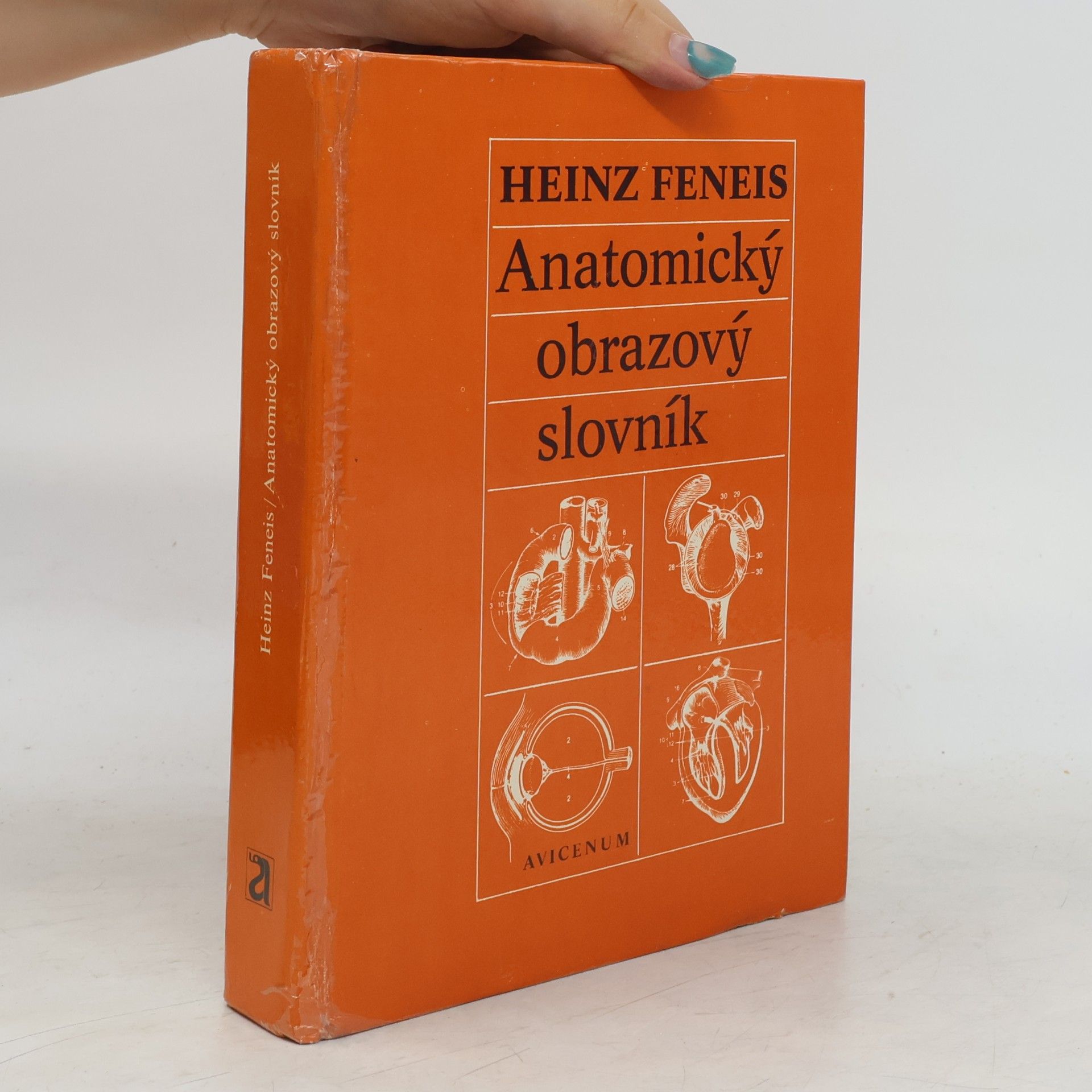 Heinz Feneis Anatomický obrazový slovník