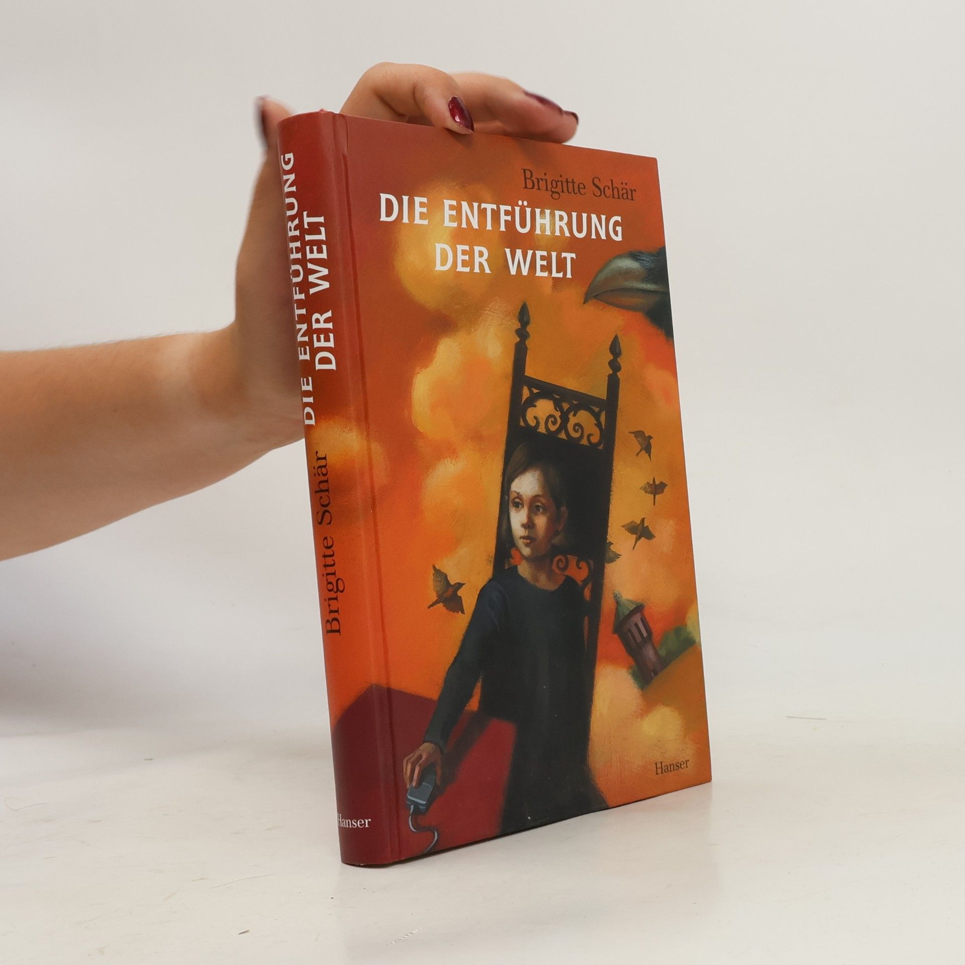 Brigitte Schär Die Entführung der Welt