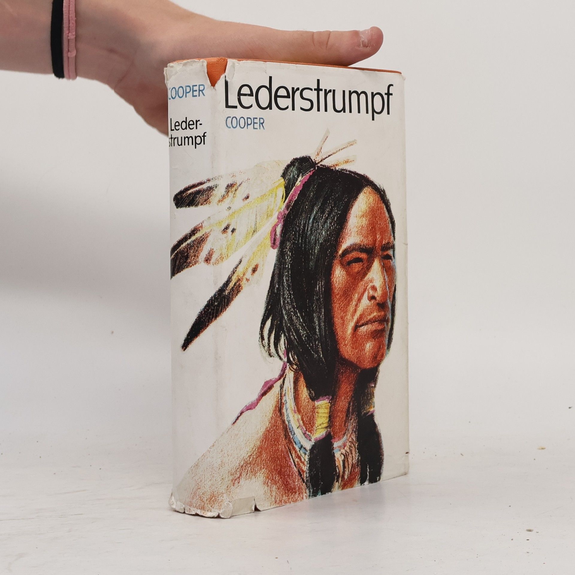 James Fenimore Cooper Lederstrumpf
