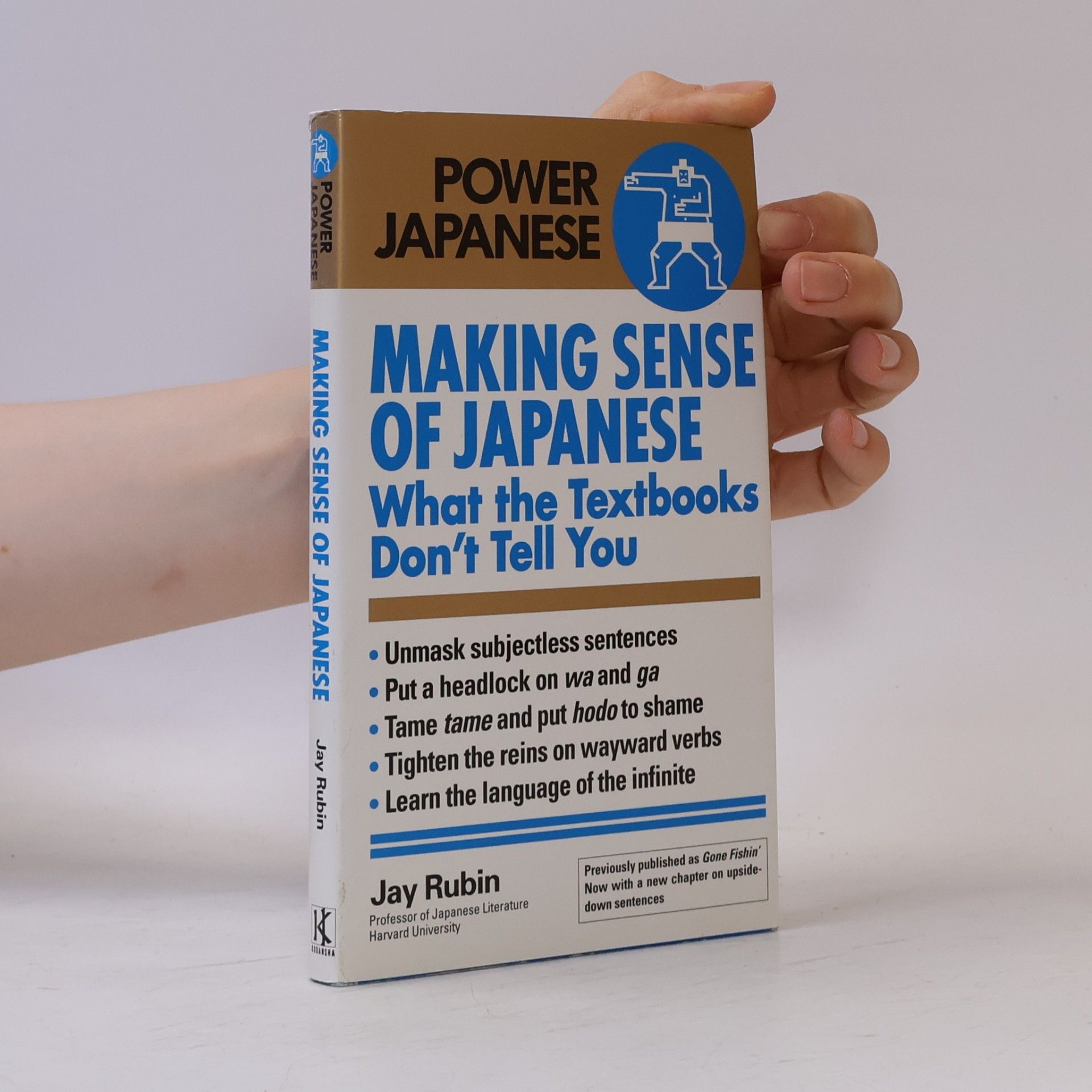 Jay Rubin Power Japanese: Making Sense of Japanese