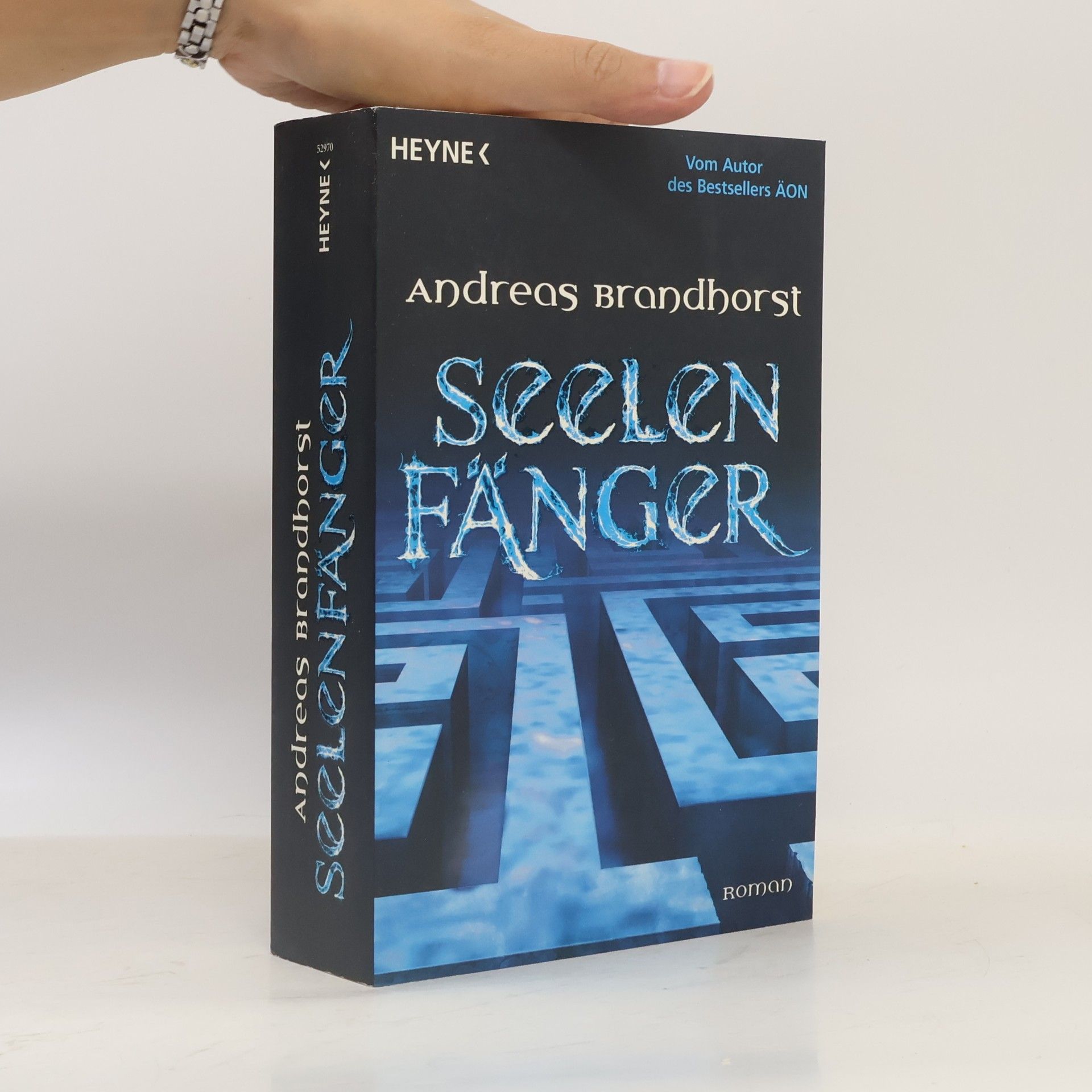 Andreas Brandhorst Seelenfänger