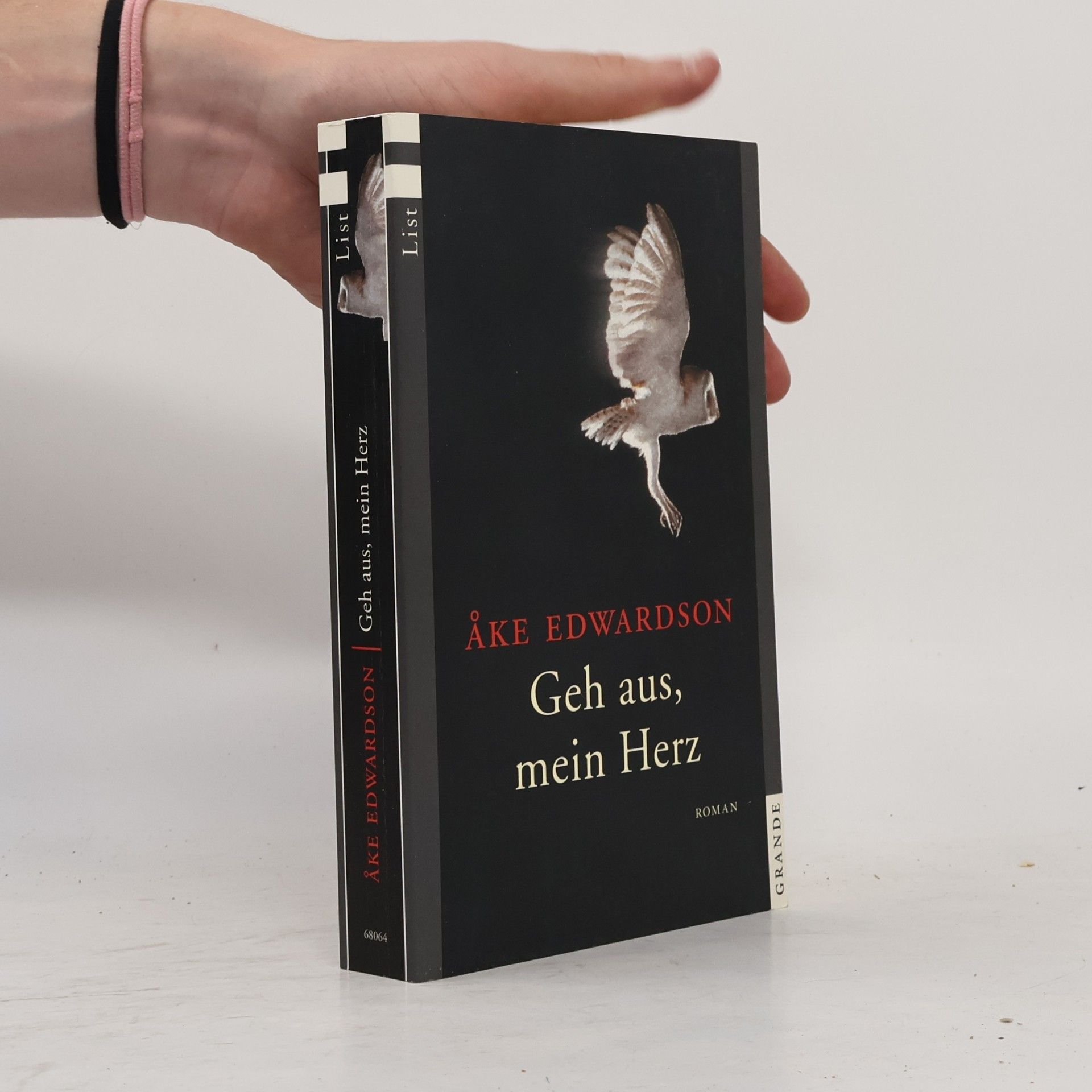 Åke Edwardson Geh aus, mein Herz
