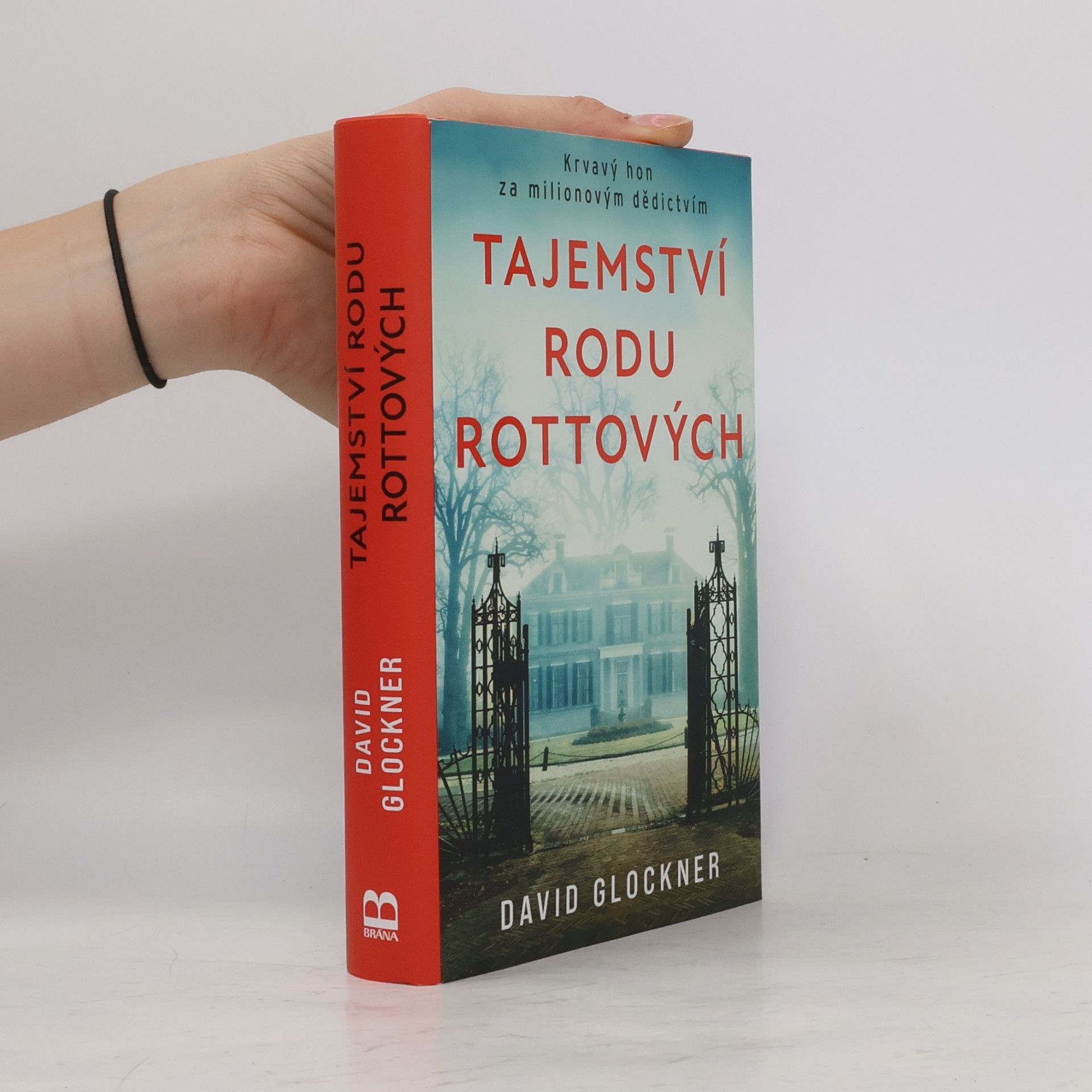 David Glockner Tajemství rodu Rottových