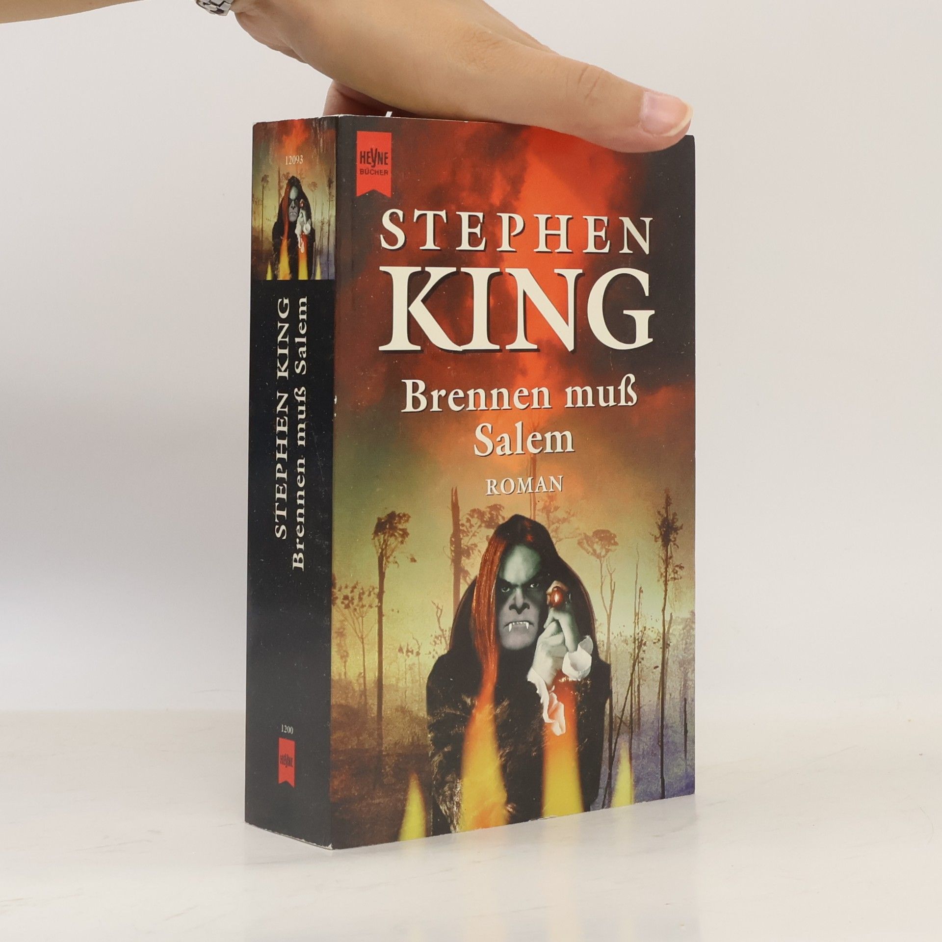 Stephen King Brennen muß Salem.