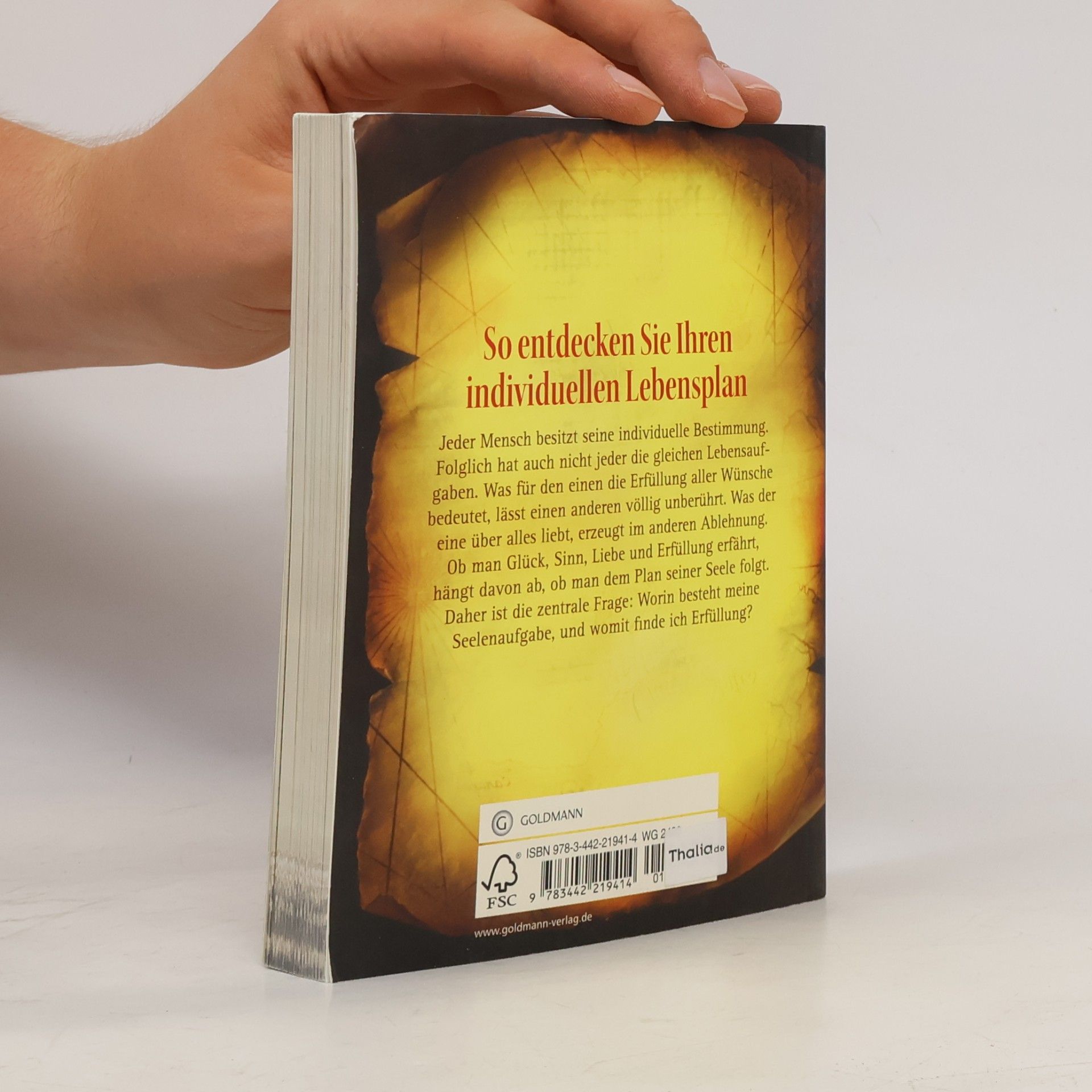 Ruediger Schache Der geheime Plan Ihres Lebens